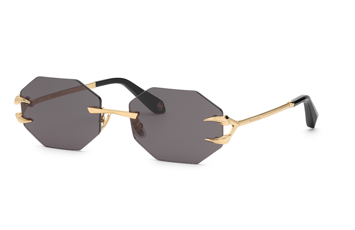 Roberto Cavalli SRC005 300