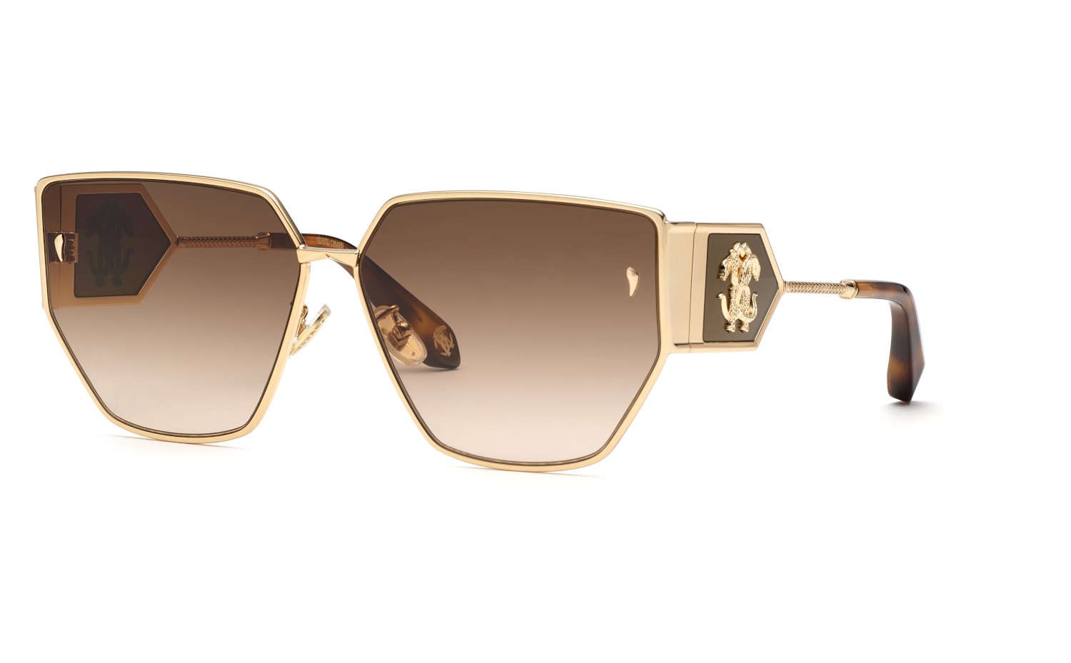 SRC092 0300 Occhiali da sole Roberto Cavalli 1