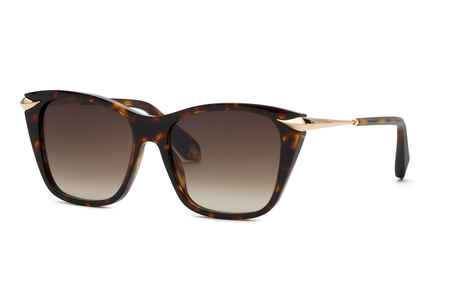Roberto Cavalli SRC150 01AY