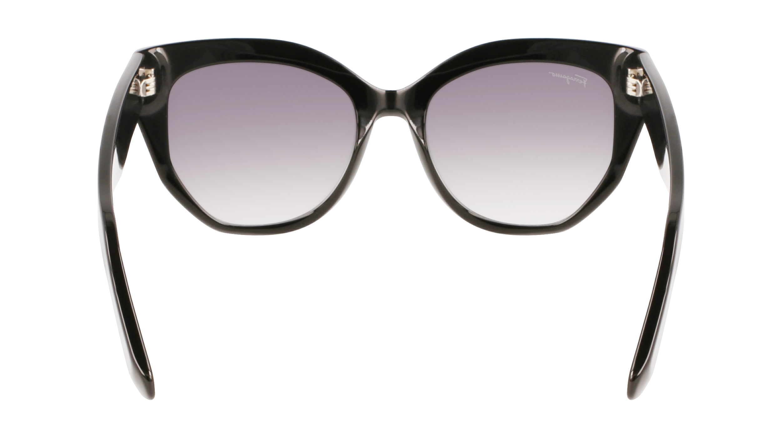 SF1061S 001 Occhiali da sole Ferragamo 6