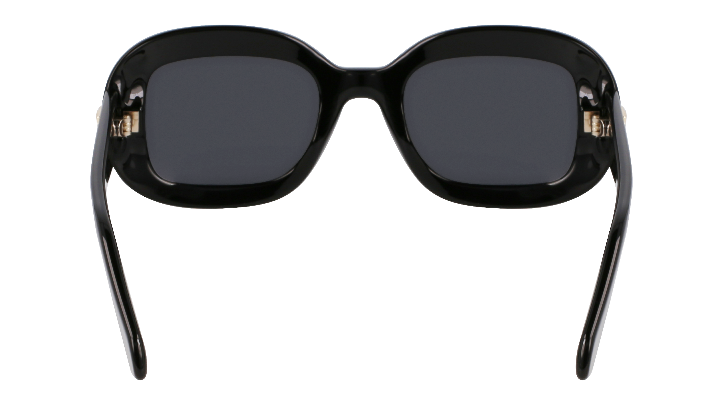 SF2038SE 001 Occhiali da sole Ferragamo 4