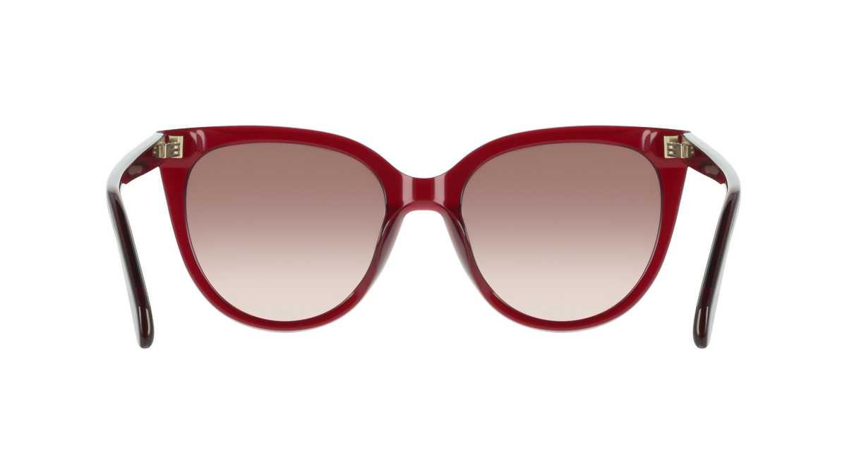 Ferragamo SF2101S 655