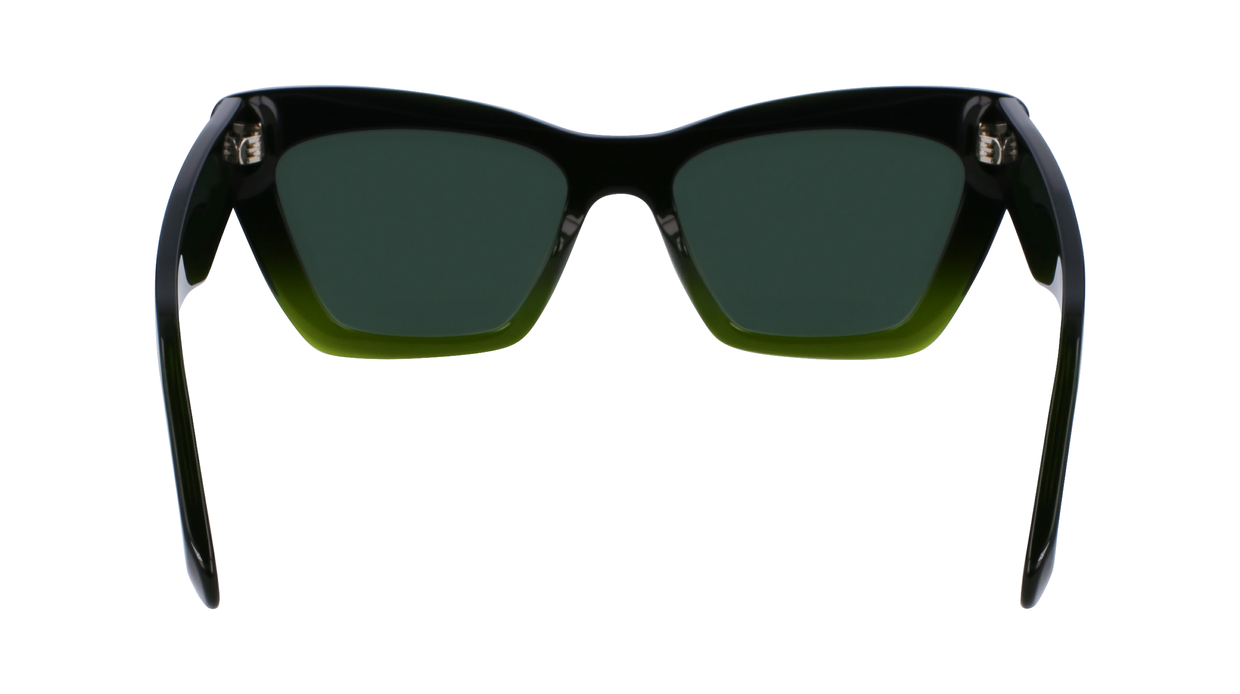 SF929SN 316 Occhiali da sole Ferragamo 4