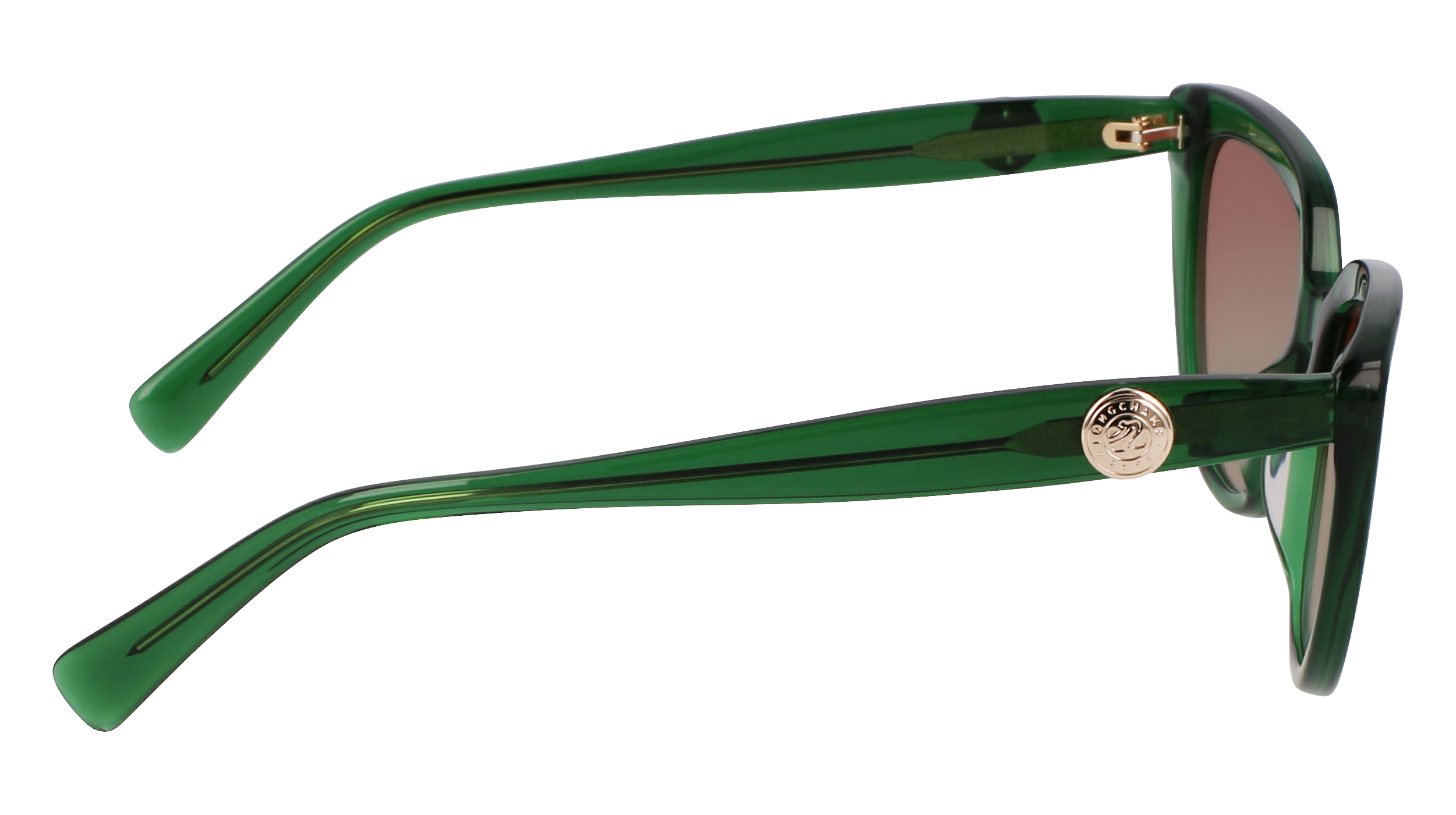 LO766S 300 Occhiali da sole LONGCHAMP 7