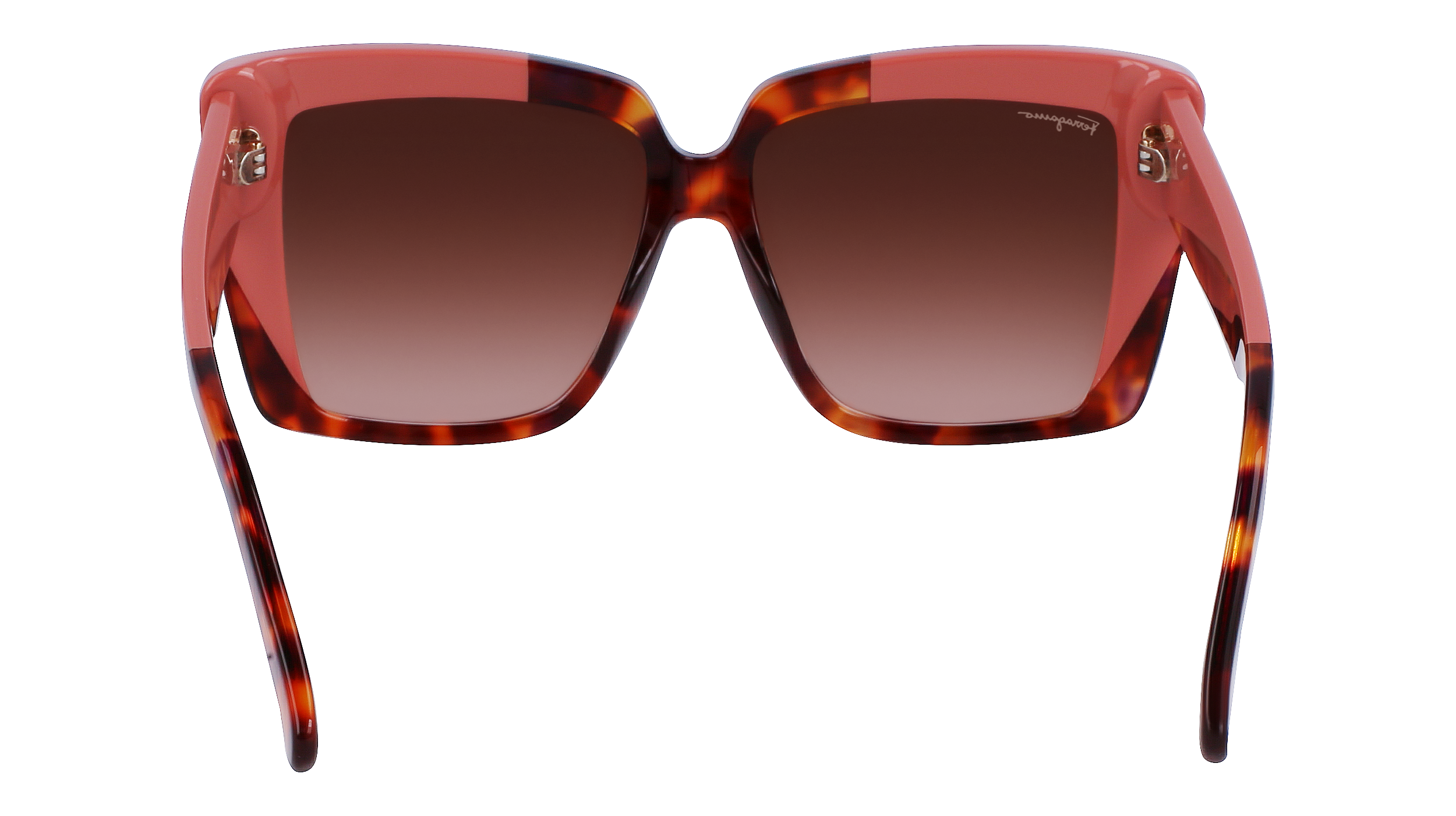 SF1060S 641 Occhiali da sole Ferragamo 6
