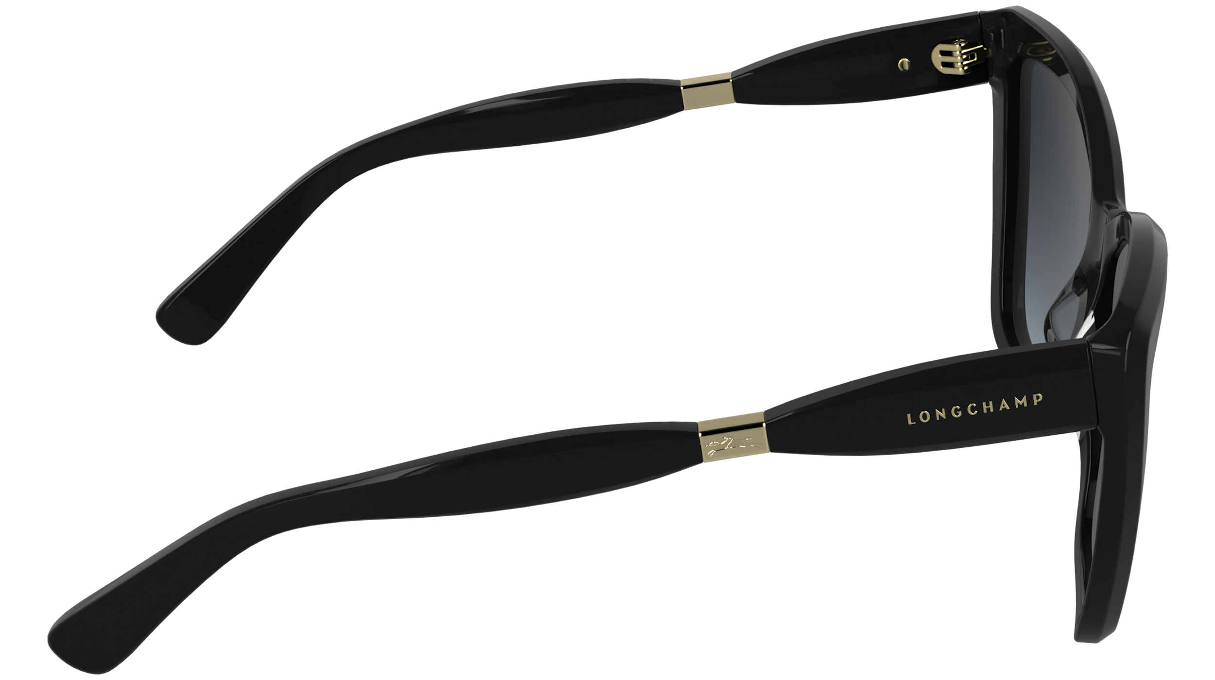 LONGCHAMP LO803S 001