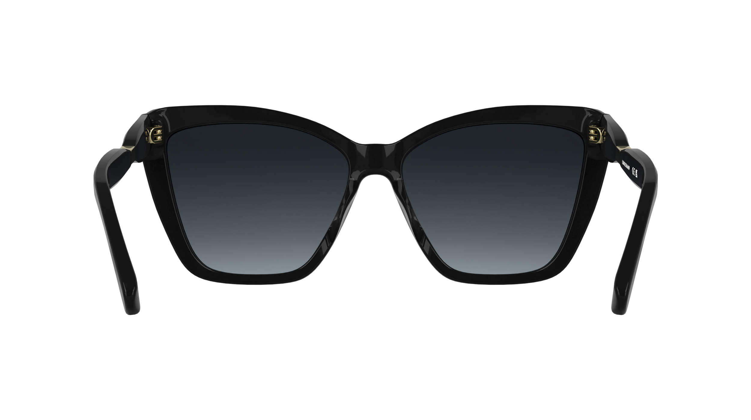 LONGCHAMP LO803S 001