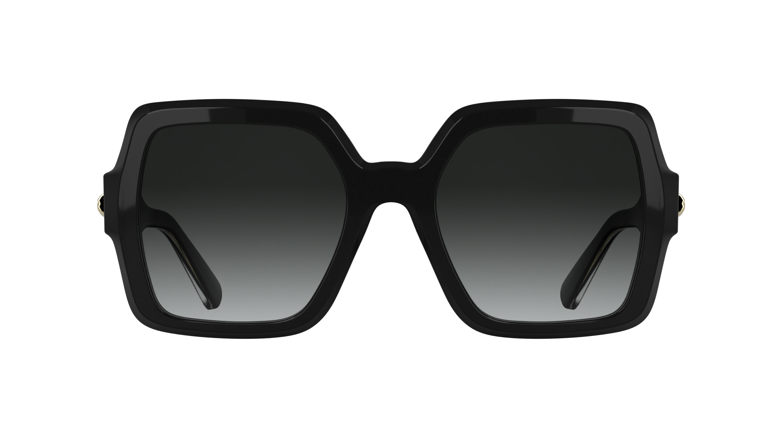 LONGCHAMP LO790S 001