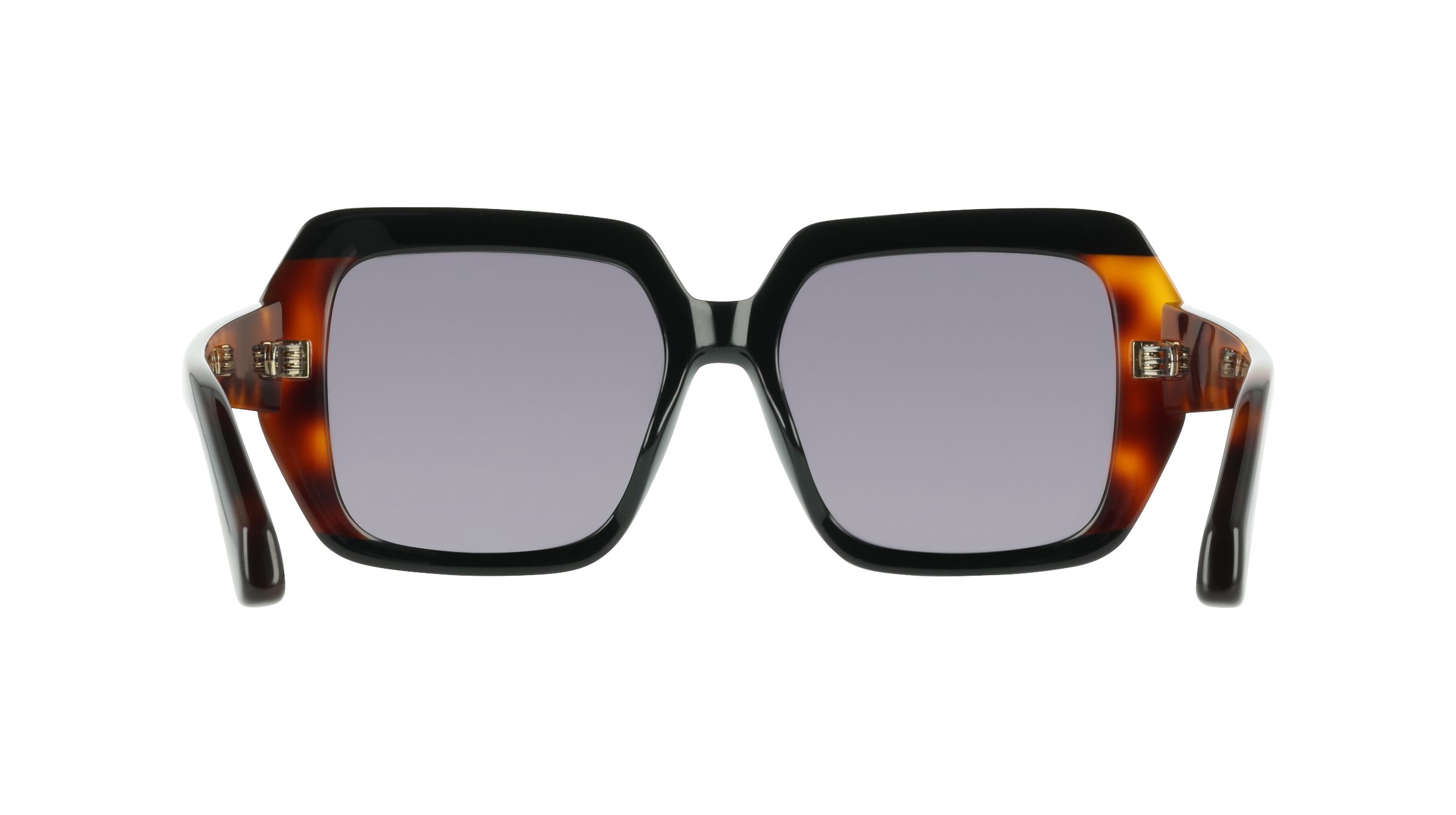 SF2081S 006 Occhiali da sole Ferragamo 5
