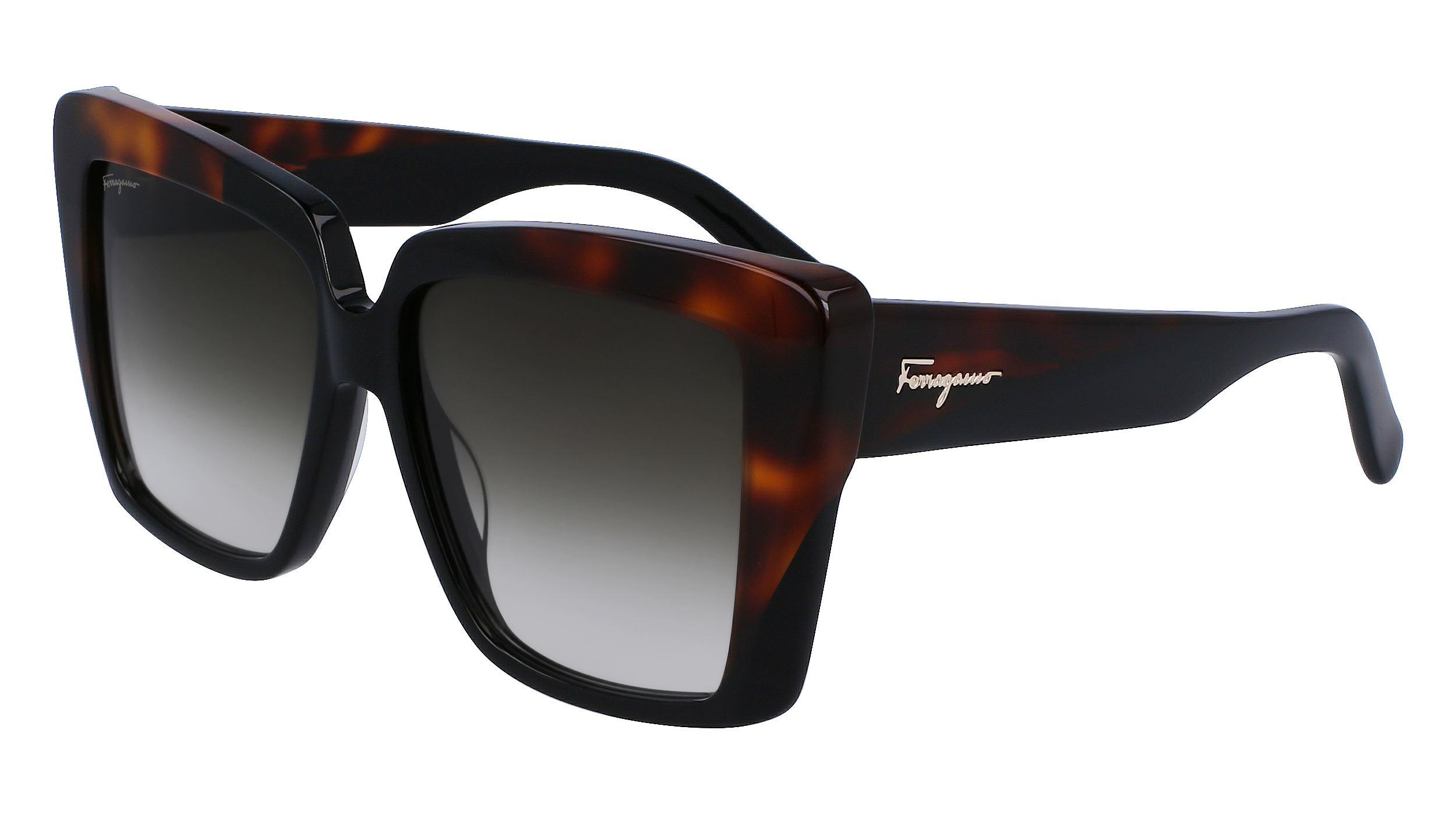 SF1060S 6 Occhiali da sole Ferragamo 1