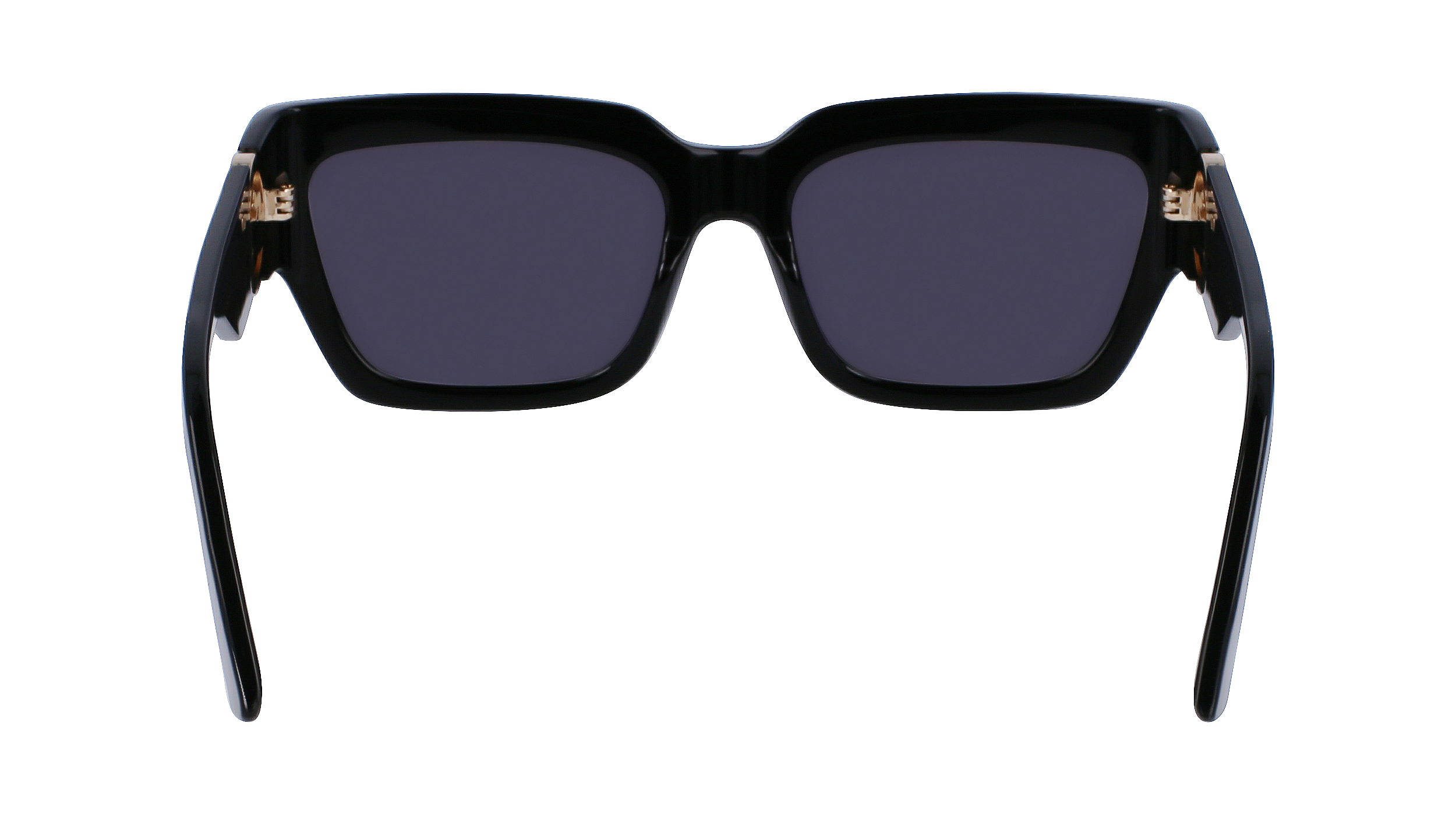 LO735S 1 Occhiali da sole LONGCHAMP 4
