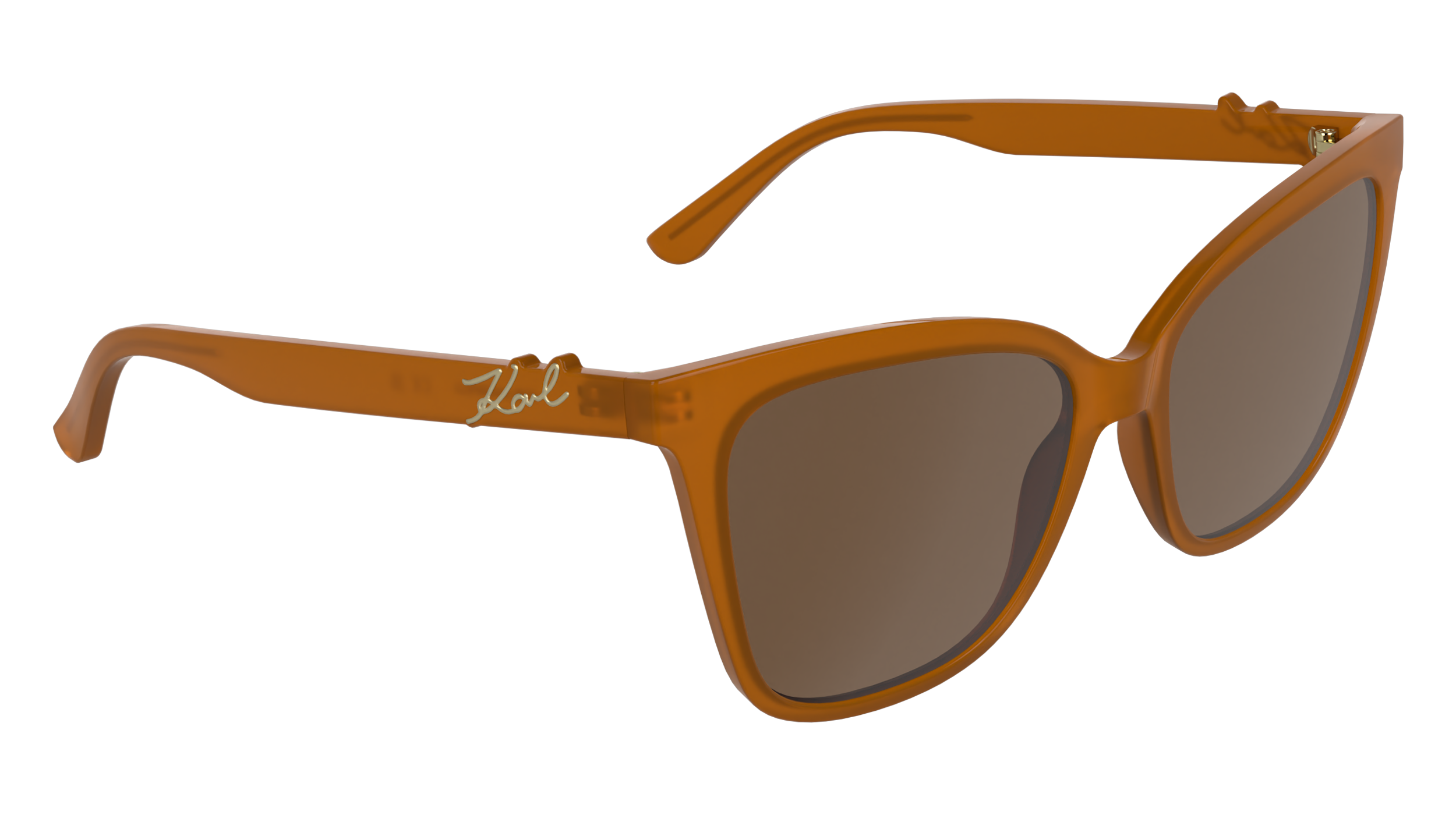 Karl Lagerfeld KL6223S 800