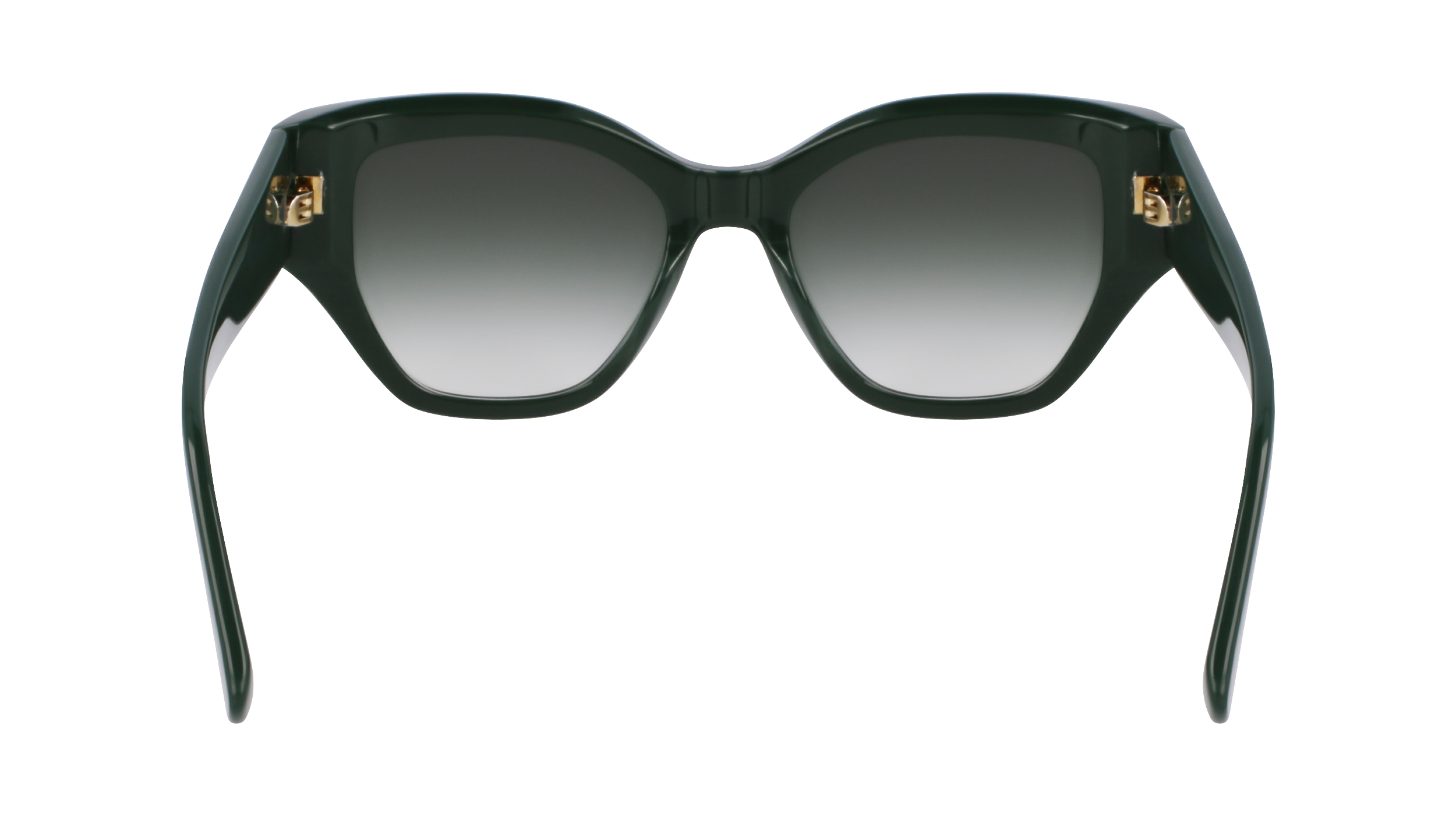 LO764S 303 Occhiali da sole LONGCHAMP 5