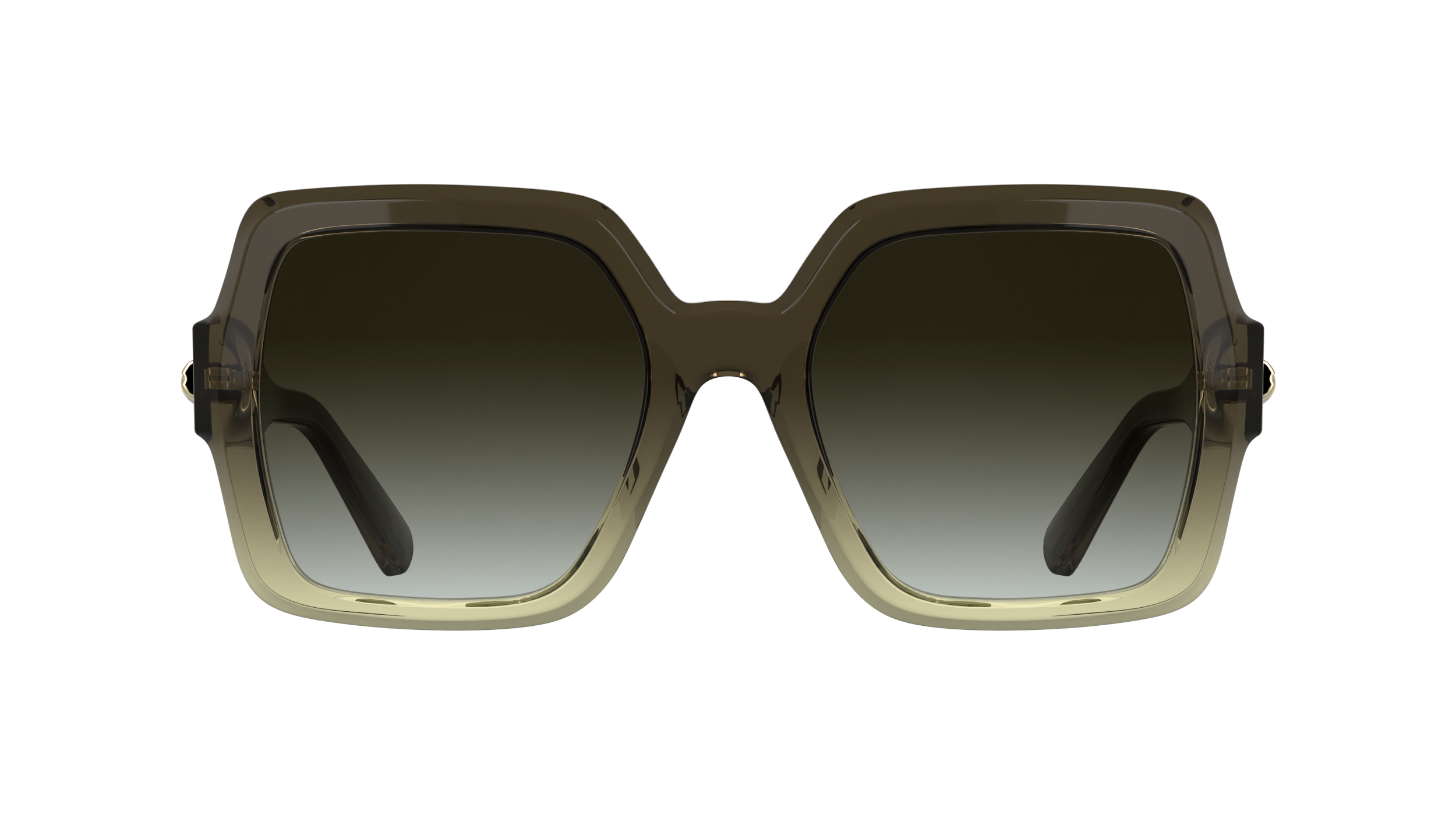 LO790S 207 Occhiali da sole LONGCHAMP 2