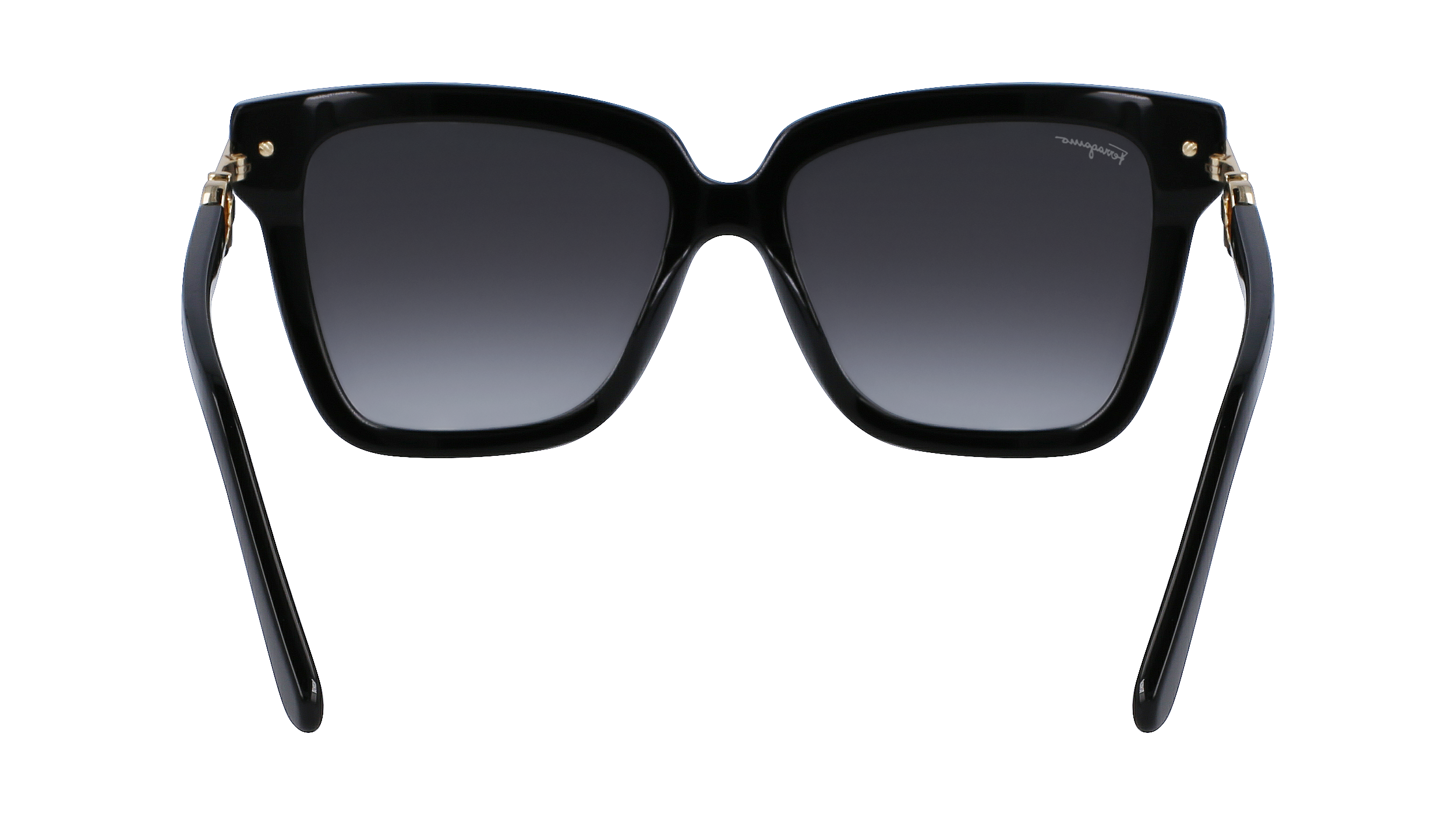 SF1085S 11 Occhiali da sole Ferragamo 5