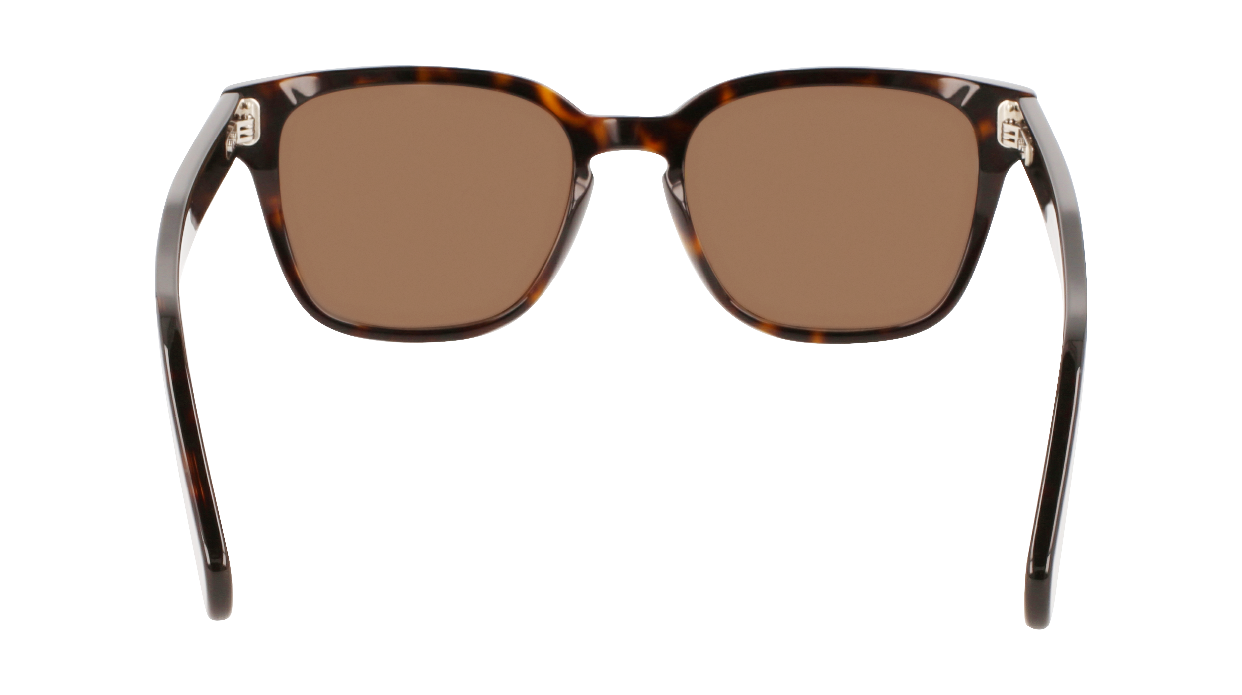 SF1040S 240 Occhiali da sole Ferragamo 4