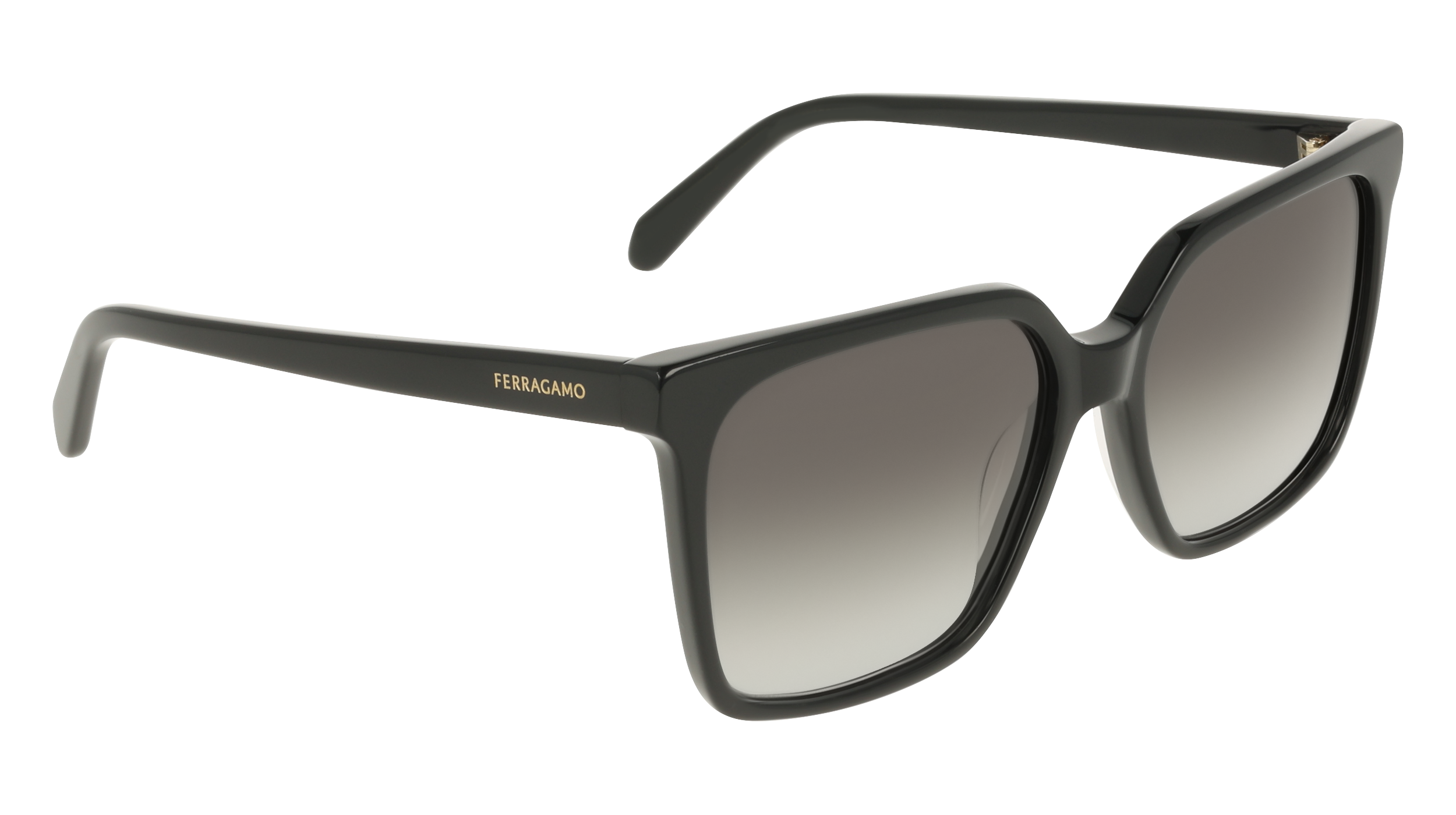 Ferragamo SF2102S 001