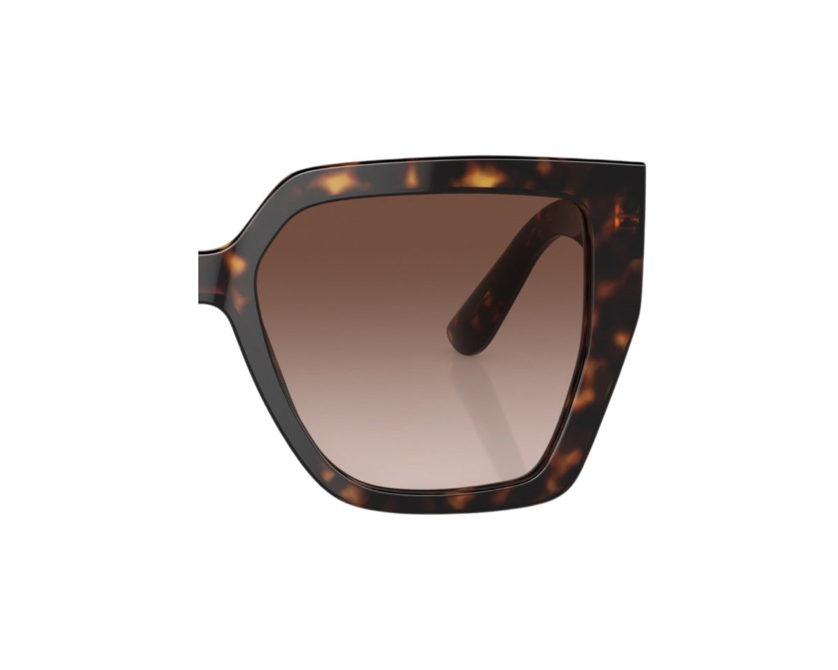 Dolce & Gabbana Ersatzgläserpaar DG4438