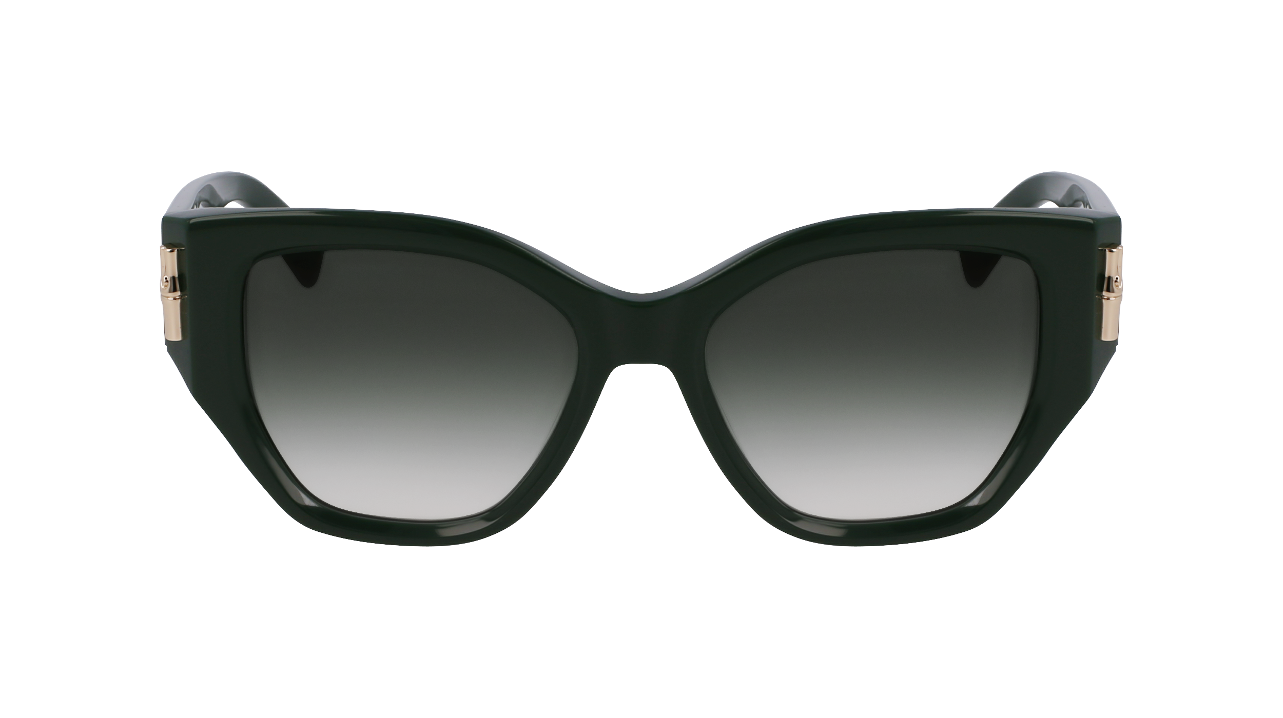 LO764S 303 Occhiali da sole LONGCHAMP 2