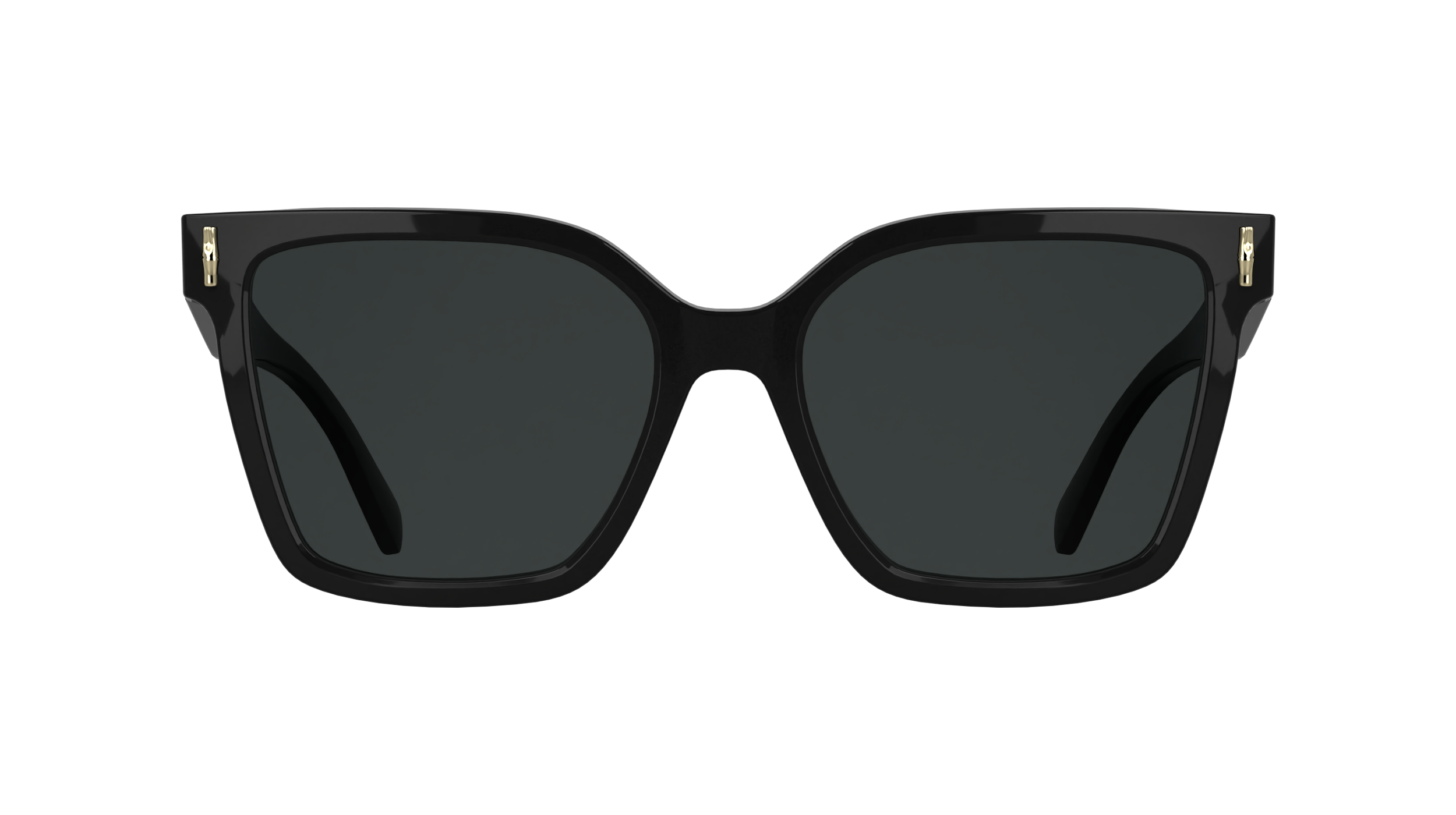 LONGCHAMP LO802S 001