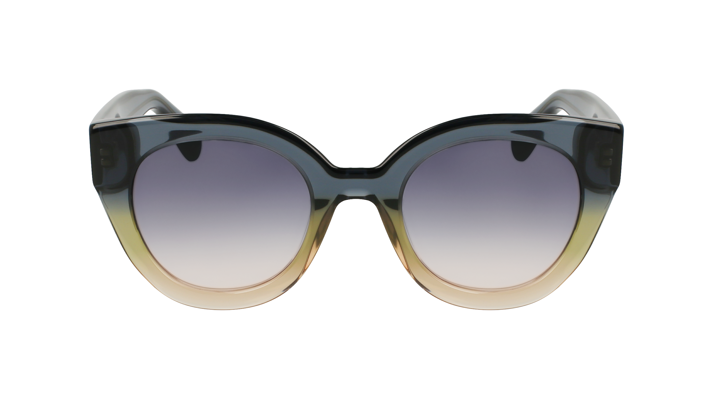 LO750S 434 Occhiali da sole LONGCHAMP 2