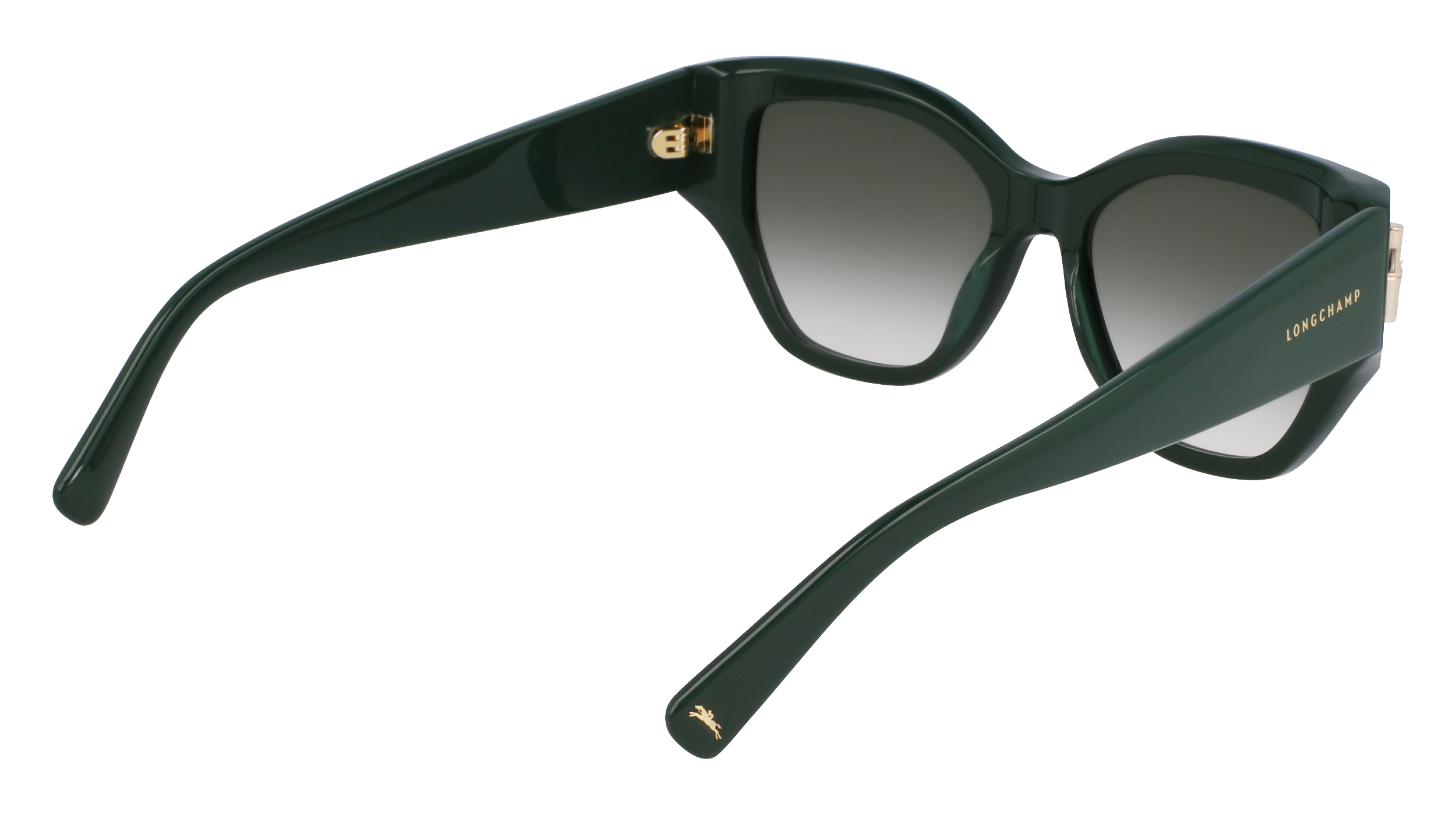 LO764S 303 Occhiali da sole LONGCHAMP 6