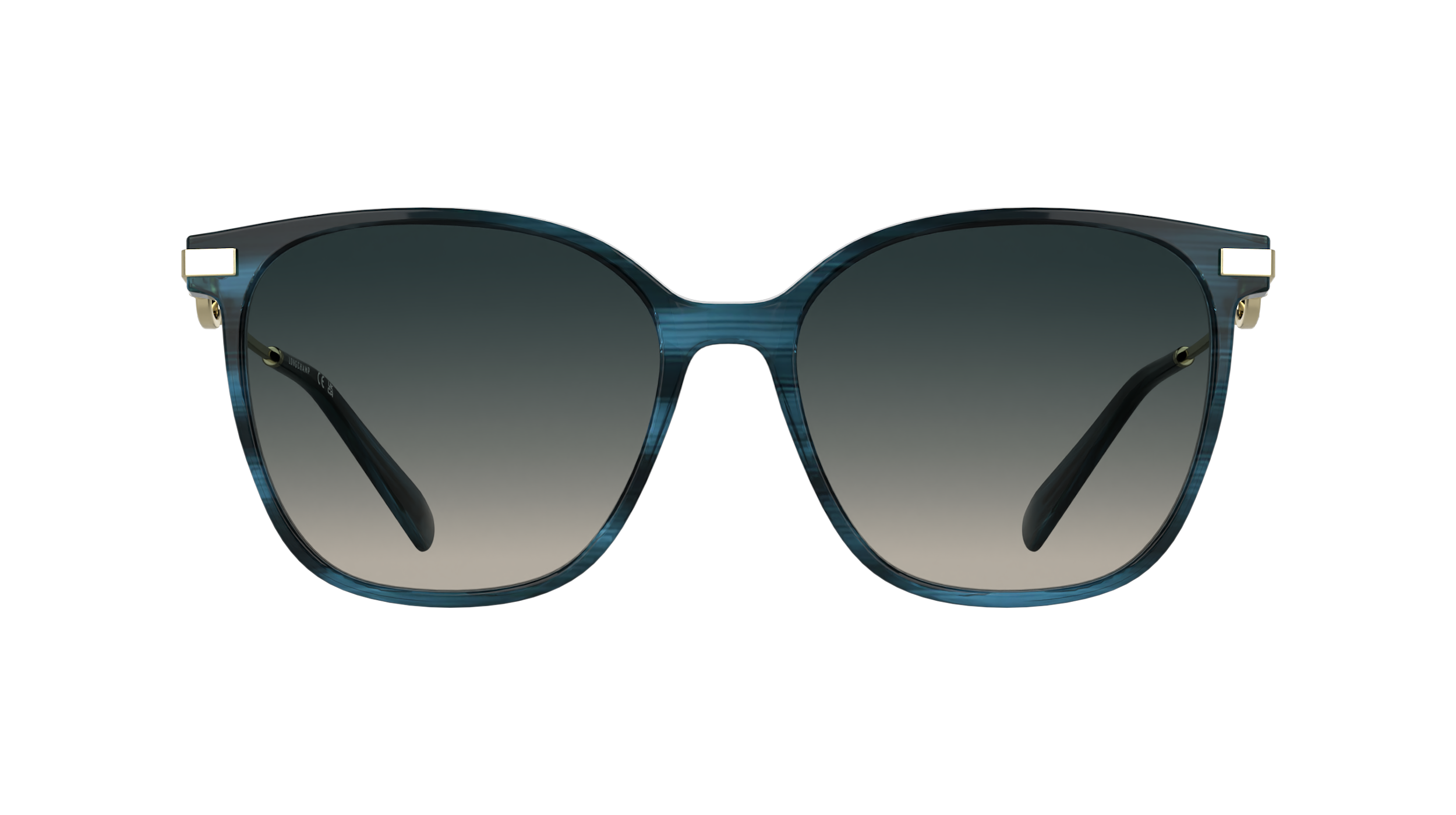 LONGCHAMP LO805S 407 Occhiali da sole LONGCHAMP 2