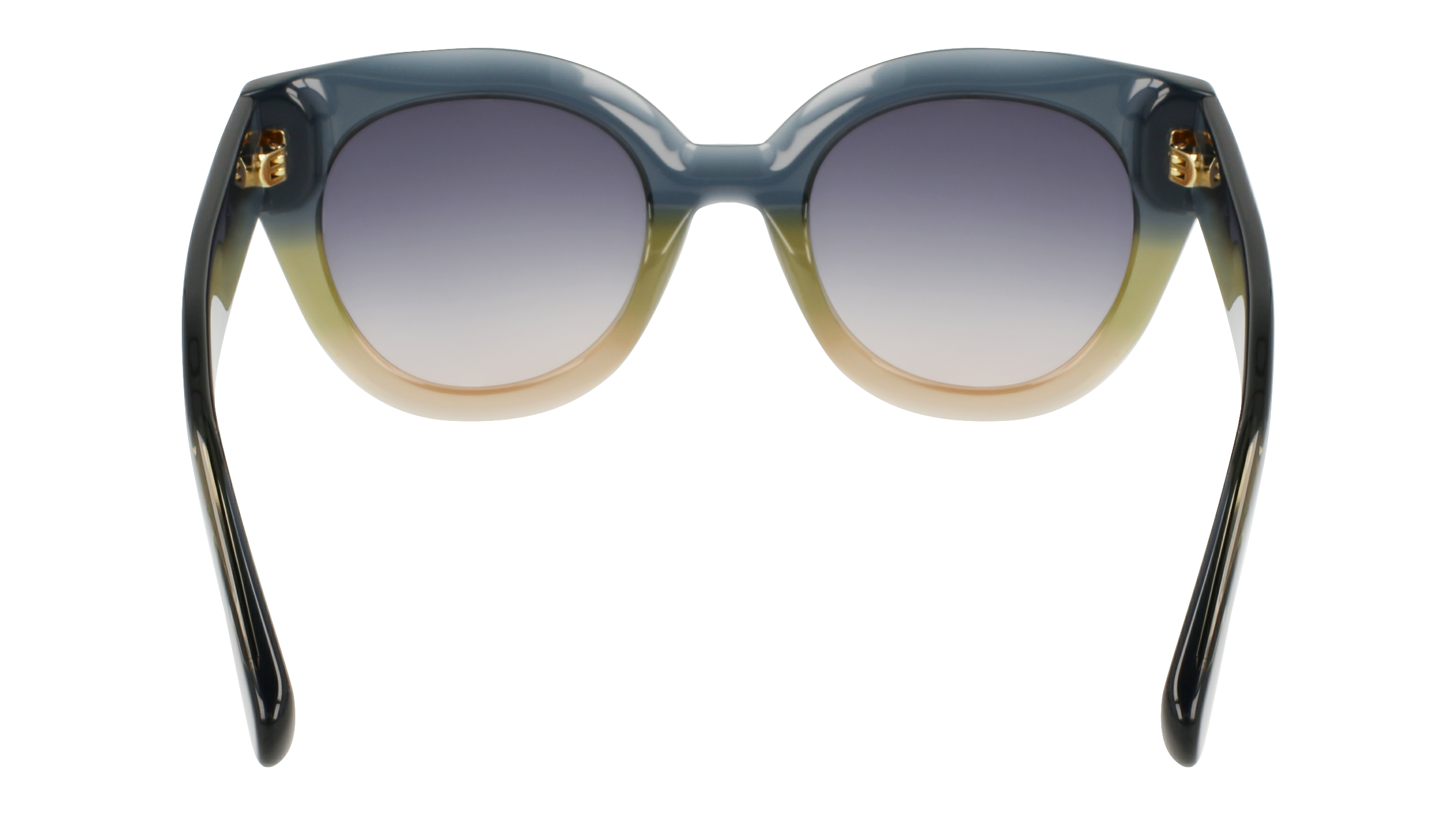 LO750S 434 Occhiali da sole LONGCHAMP 5