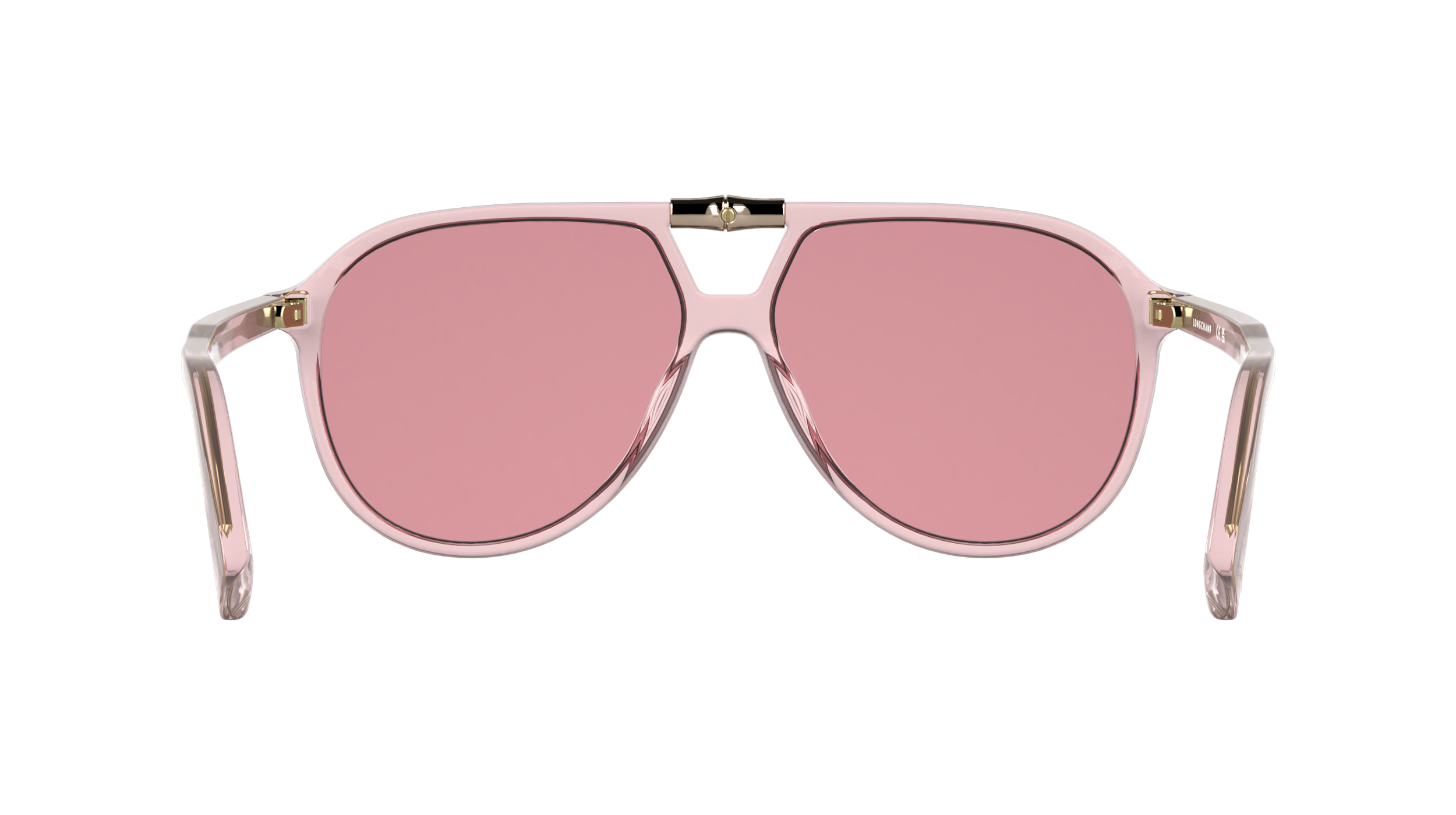 LONGCHAMP LO800S 650
