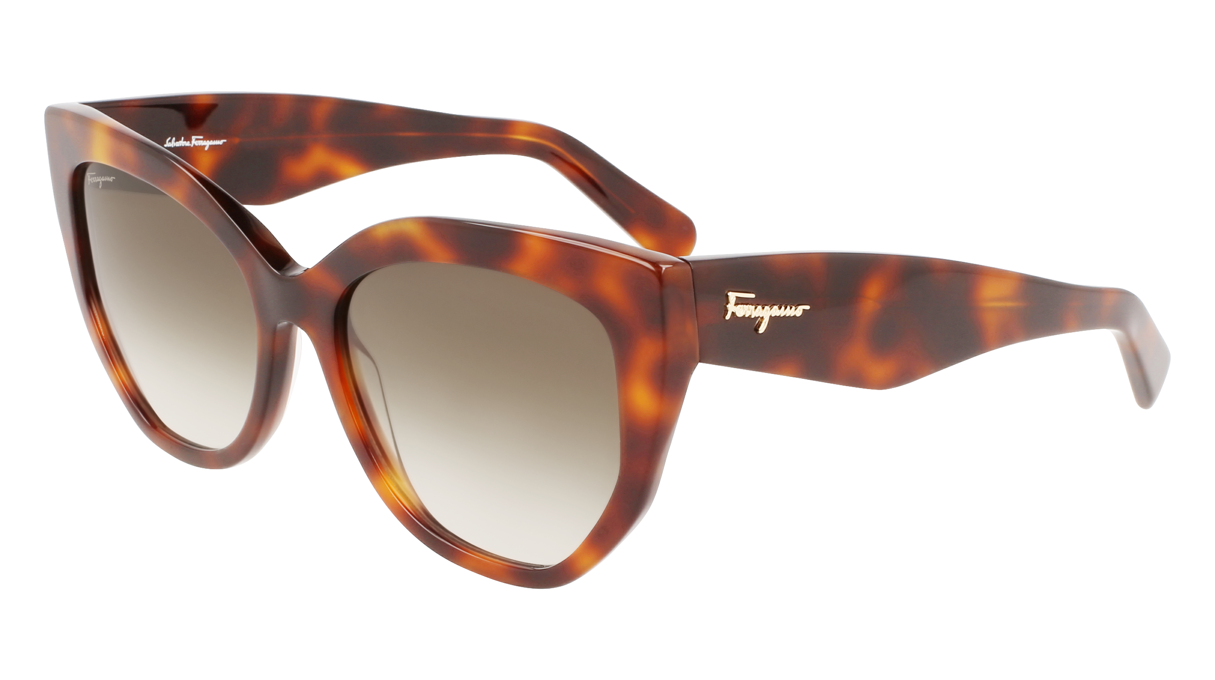 SF1061S 240 Occhiali da sole Ferragamo 1