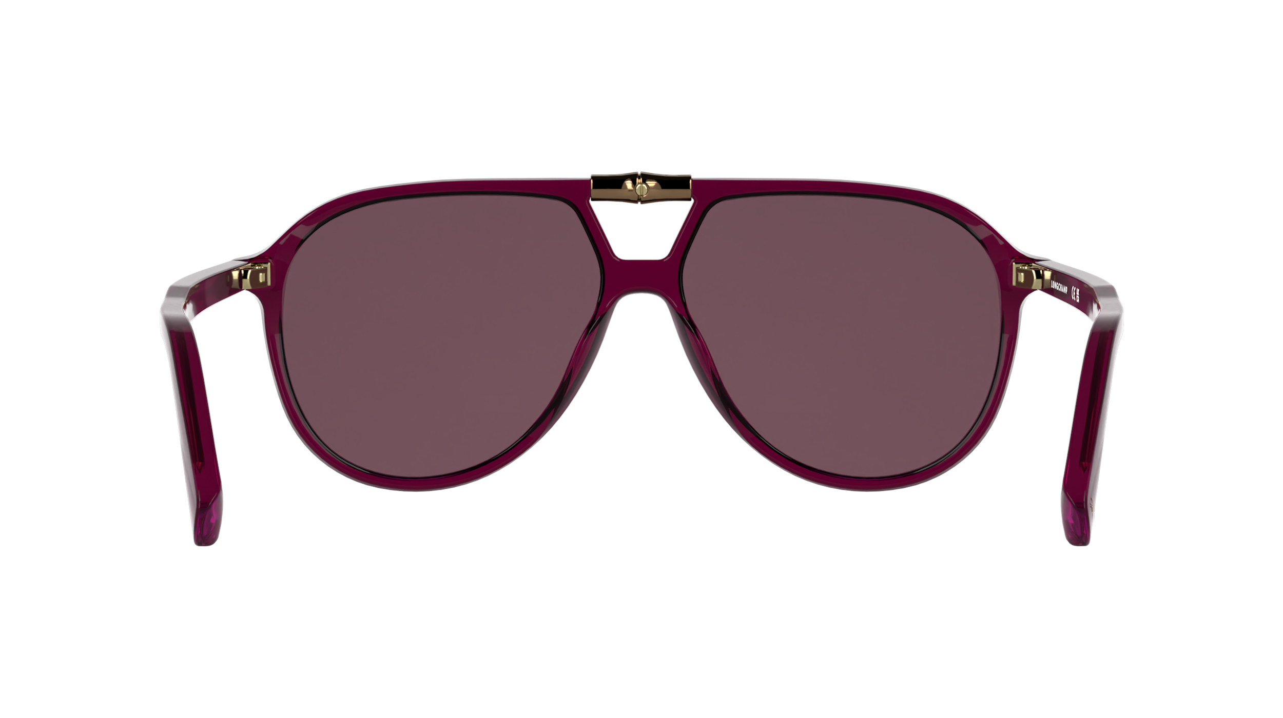 LONGCHAMP LO800S 601