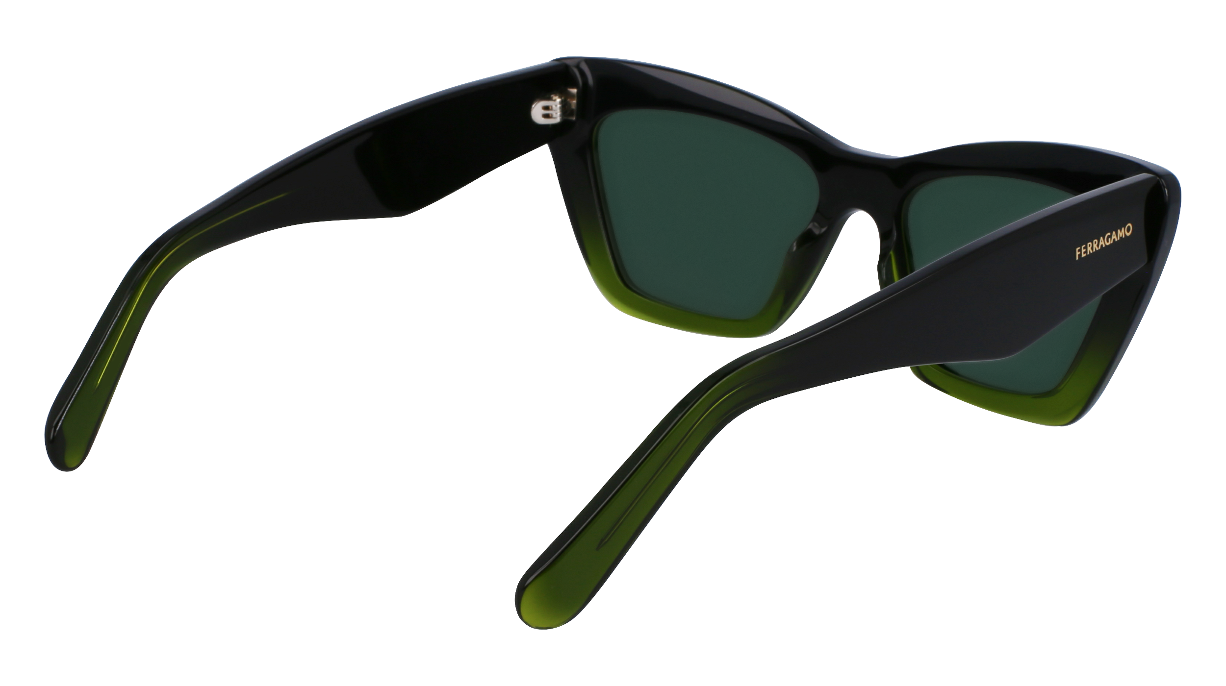 SF929SN 316 Occhiali da sole Ferragamo 6