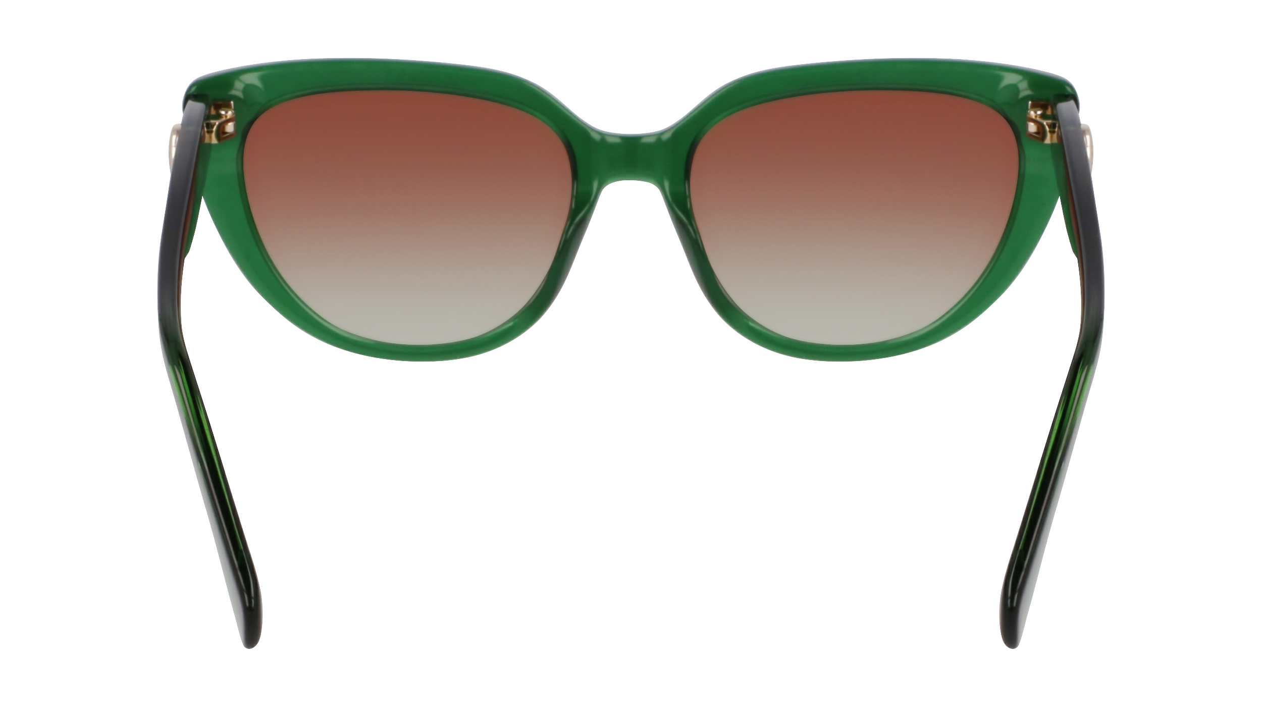 LO766S 300 Occhiali da sole LONGCHAMP 5