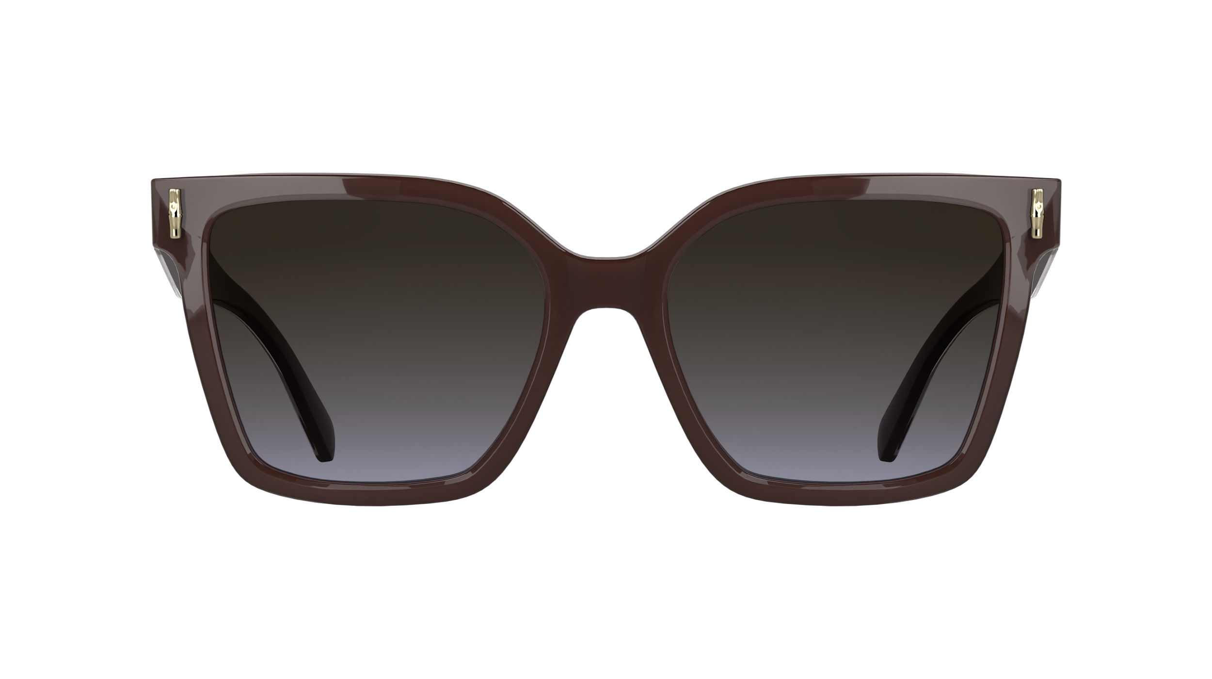 LONGCHAMP LO802S 609 Occhiali da sole LONGCHAMP 2