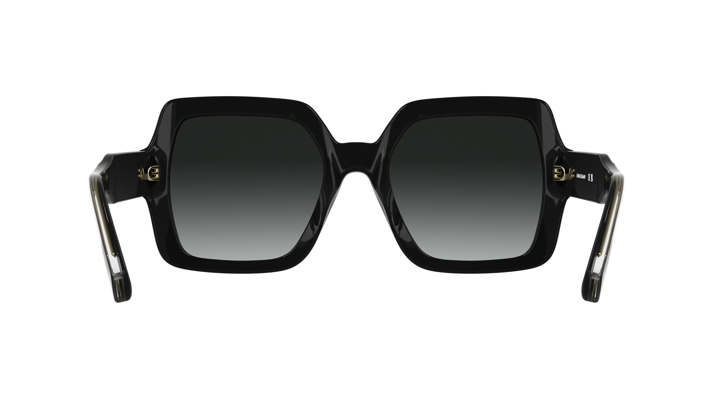 LONGCHAMP LO790S 001