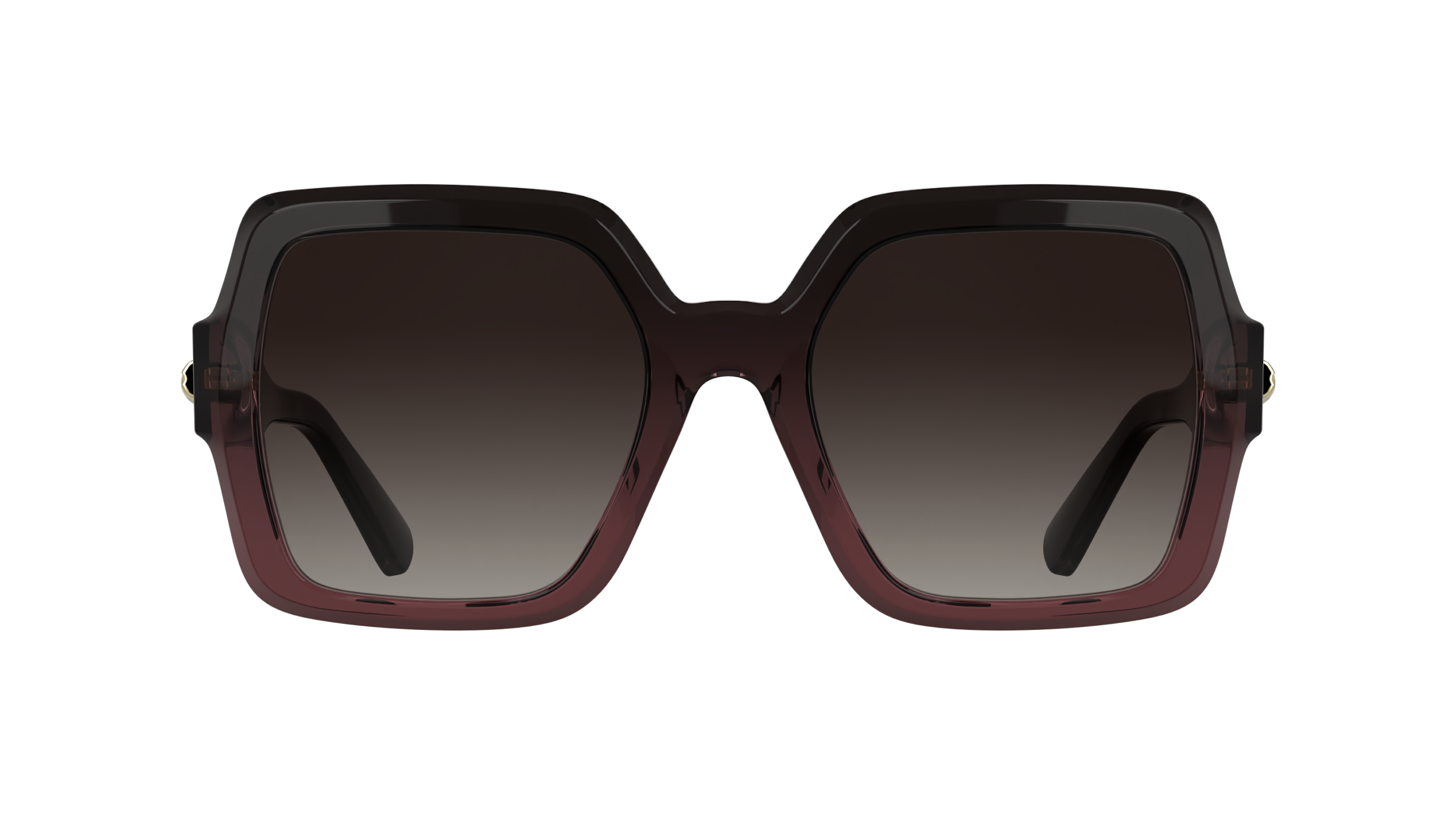 LONGCHAMP LO790S 604