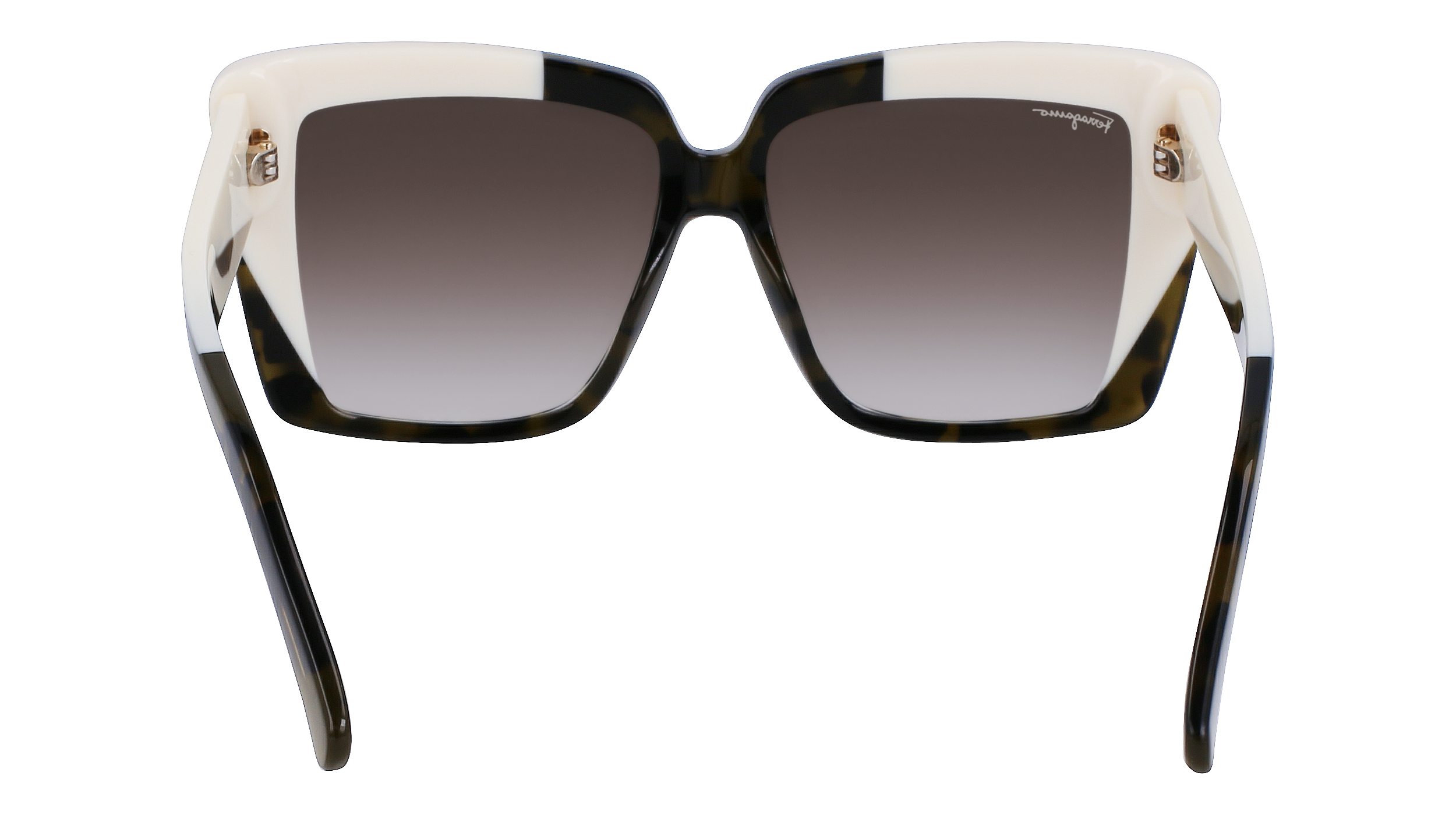 SF1060S 341 Occhiali da sole Ferragamo 6