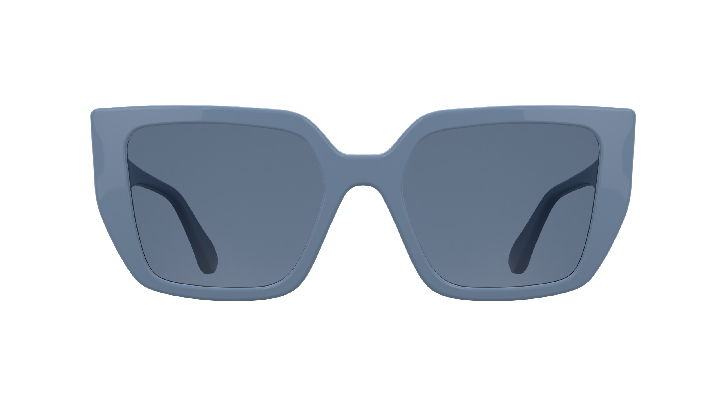 Karl Lagerfeld KL6221S 450