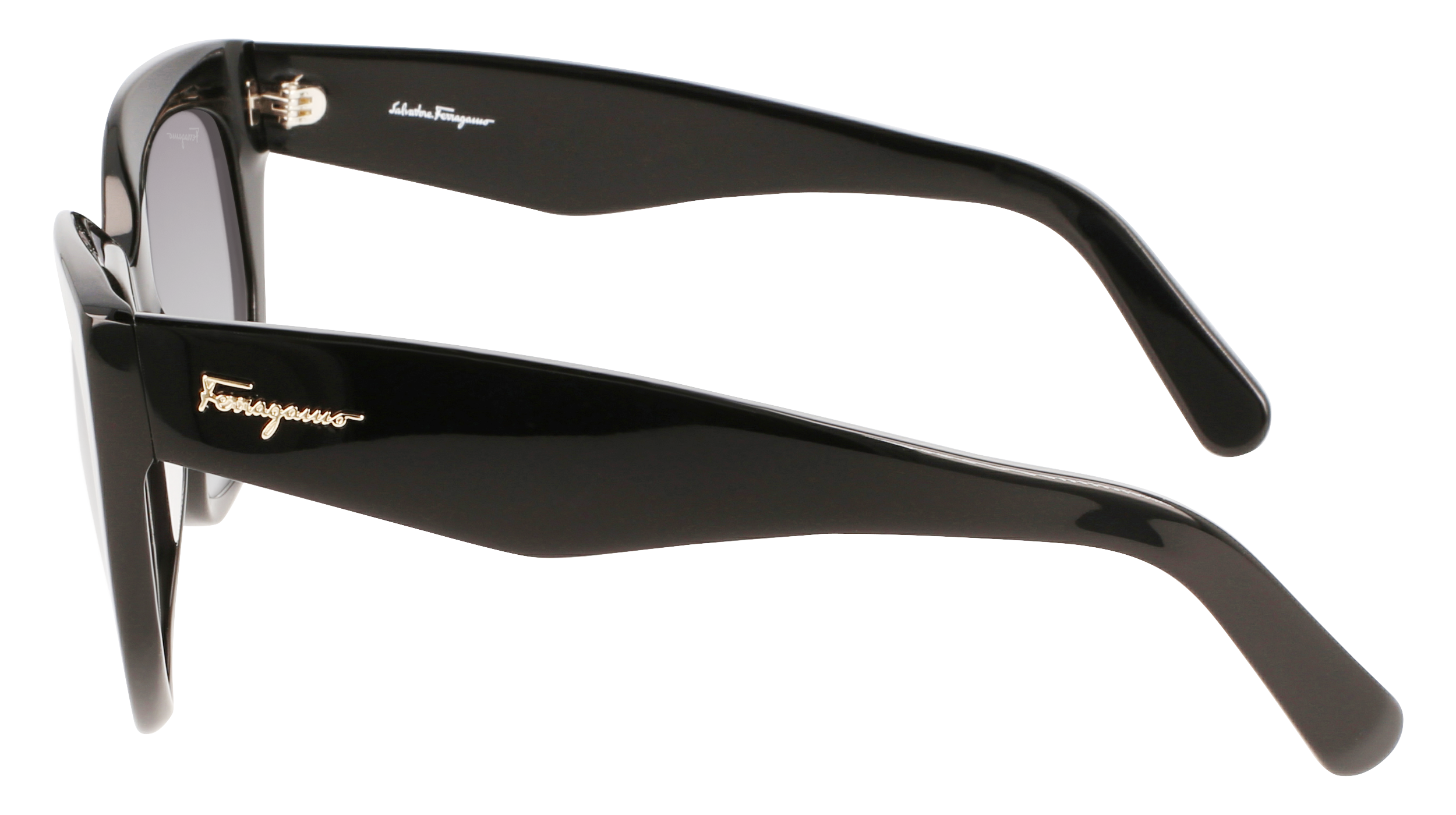 SF1061S 001 Occhiali da sole Ferragamo 5