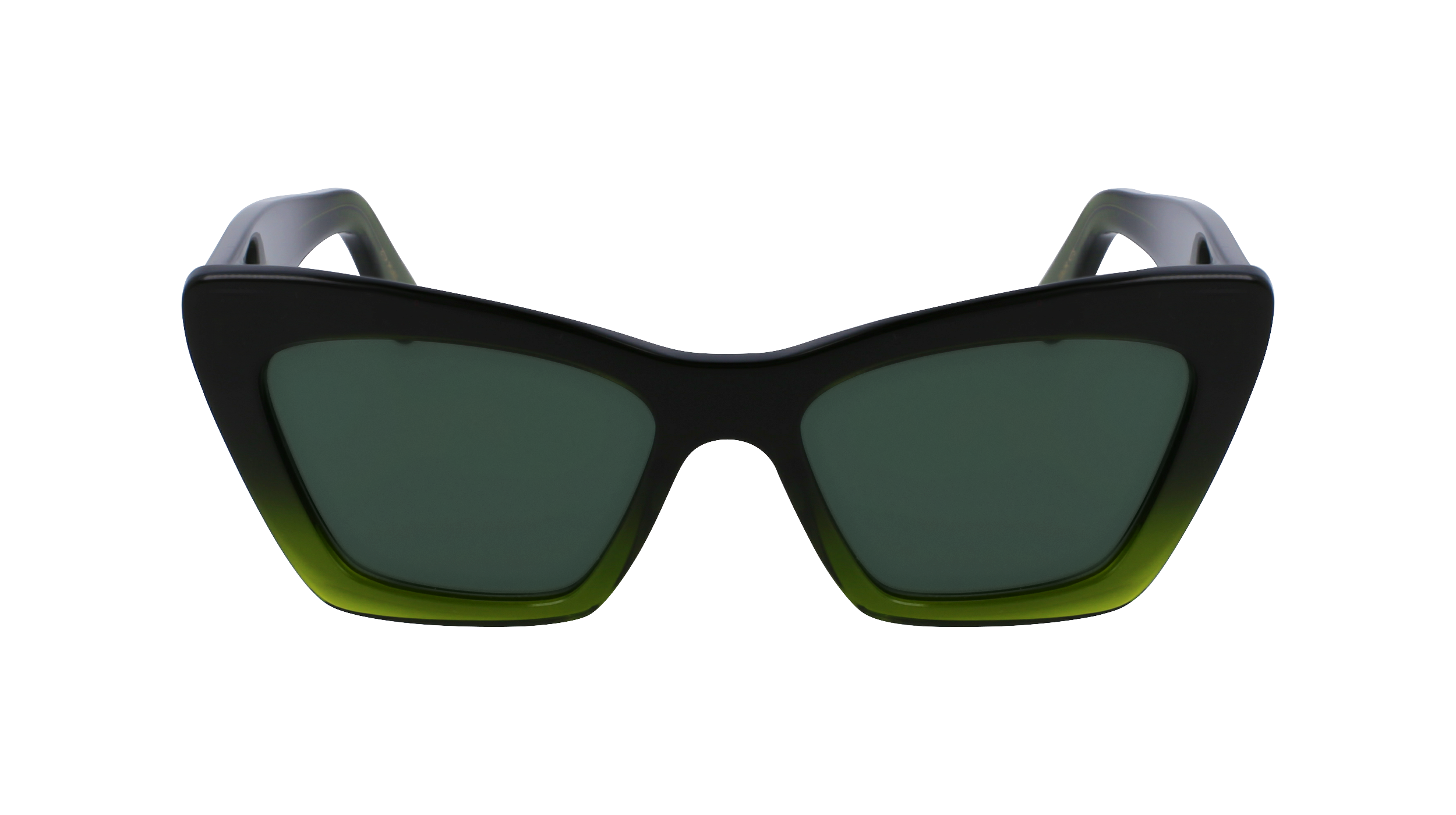 SF929SN 316 Occhiali da sole Ferragamo 2