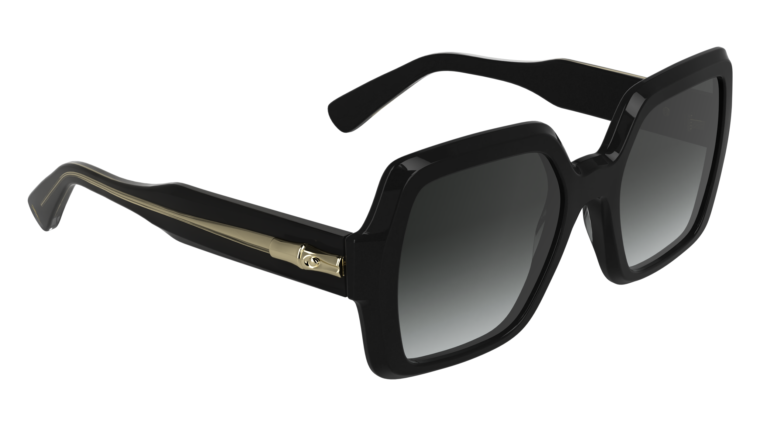 LONGCHAMP LO790S 001