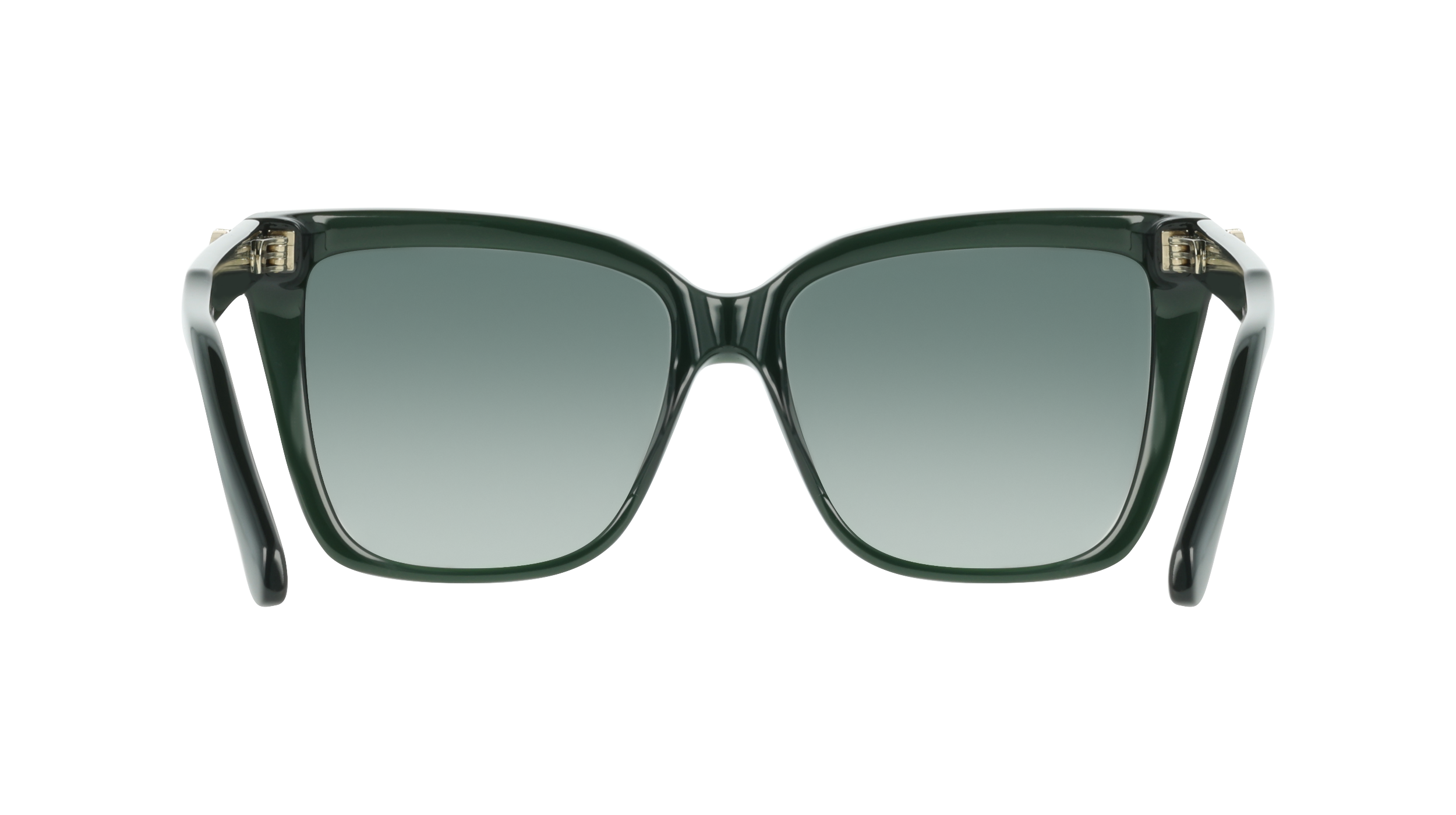 SF2085SE 302 Occhiali da sole Ferragamo 5
