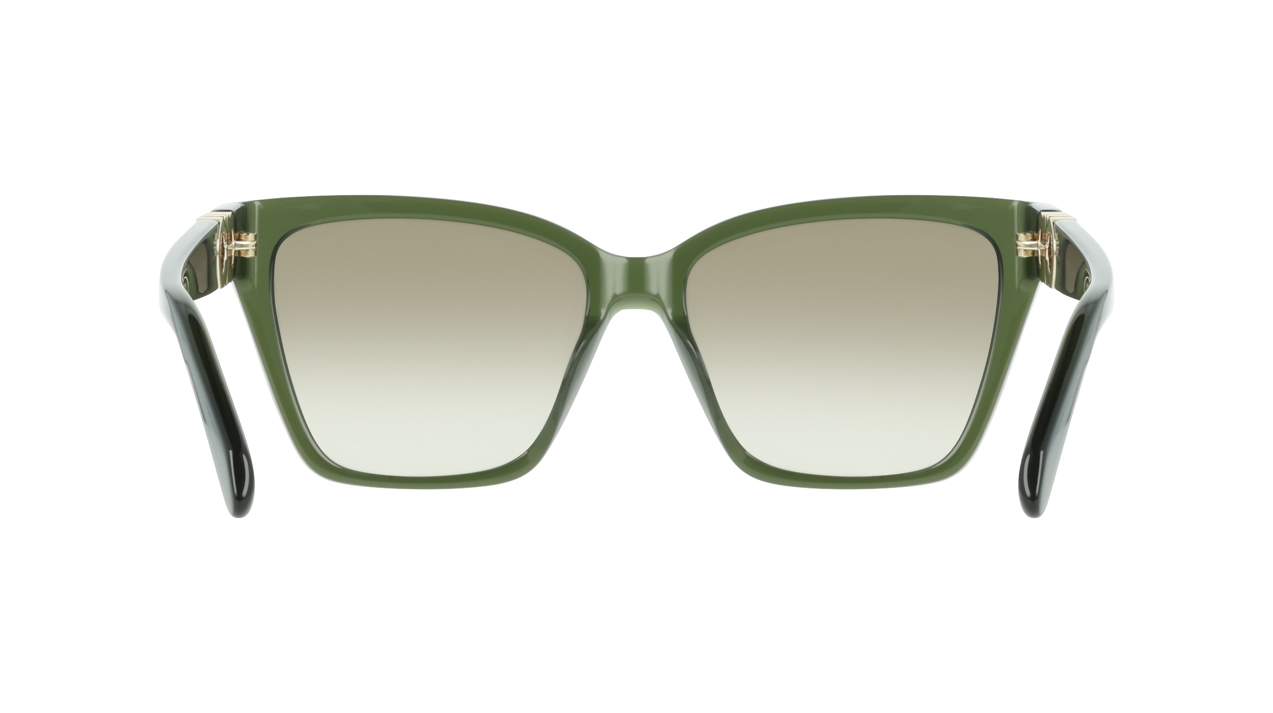 Ferragamo SF2110S 320