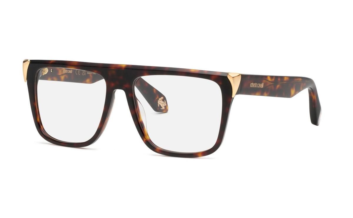 Vista frames Roberto Cavalli VRC107m 743 190605579343 Havana frame ...