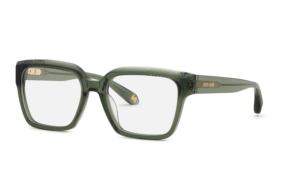 Optical frames Roberto Cavalli VRC147M 07TH 190605645970 Frame color ...