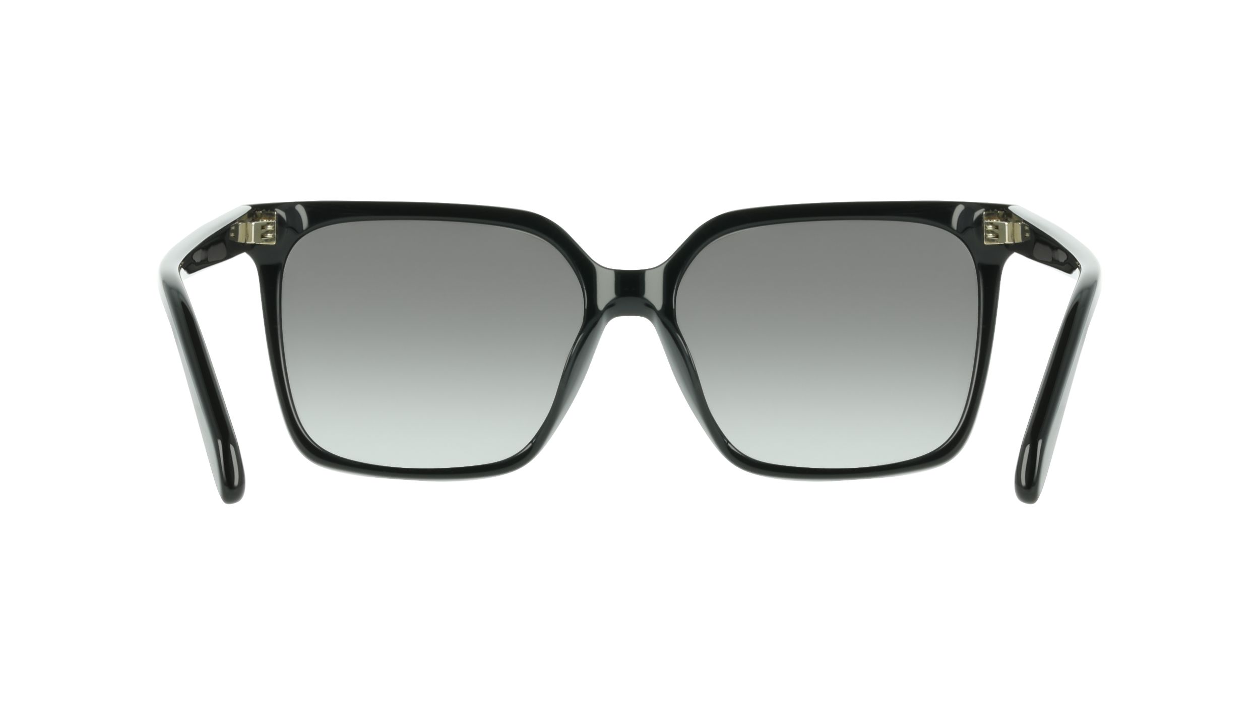 Ferragamo SF2102S 001