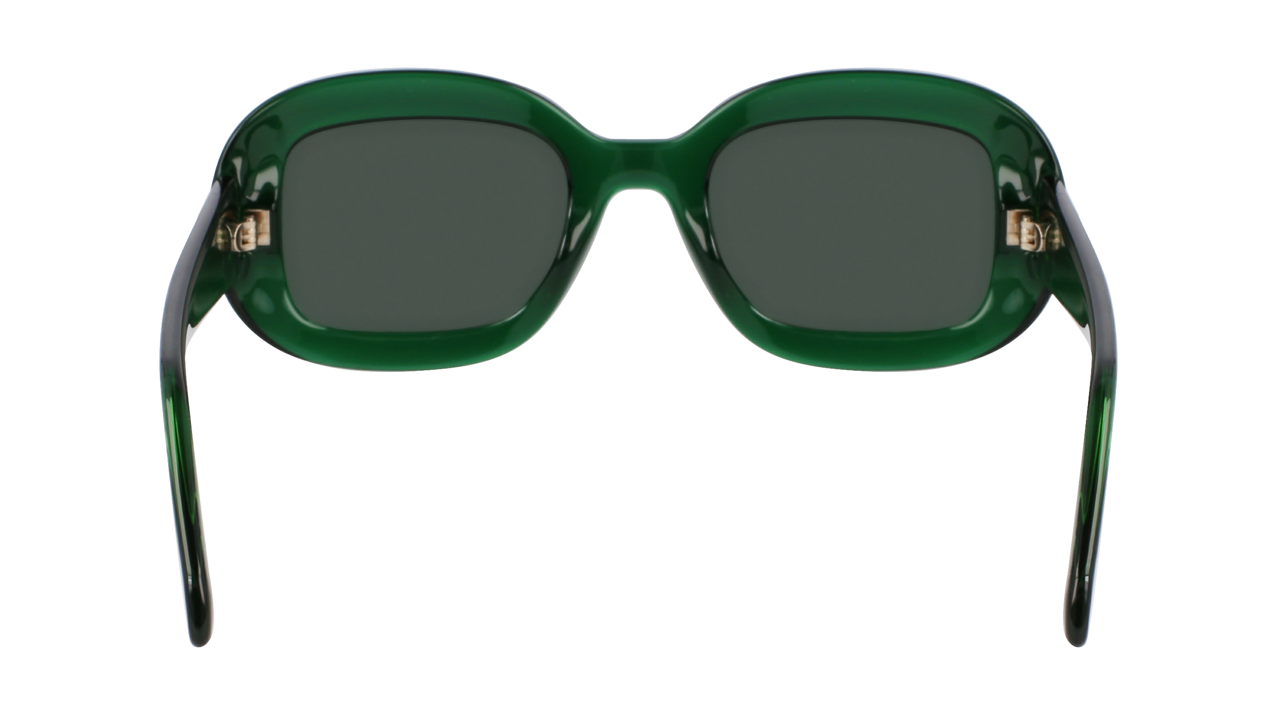 SF2038SE 317 Occhiali da sole Ferragamo 4