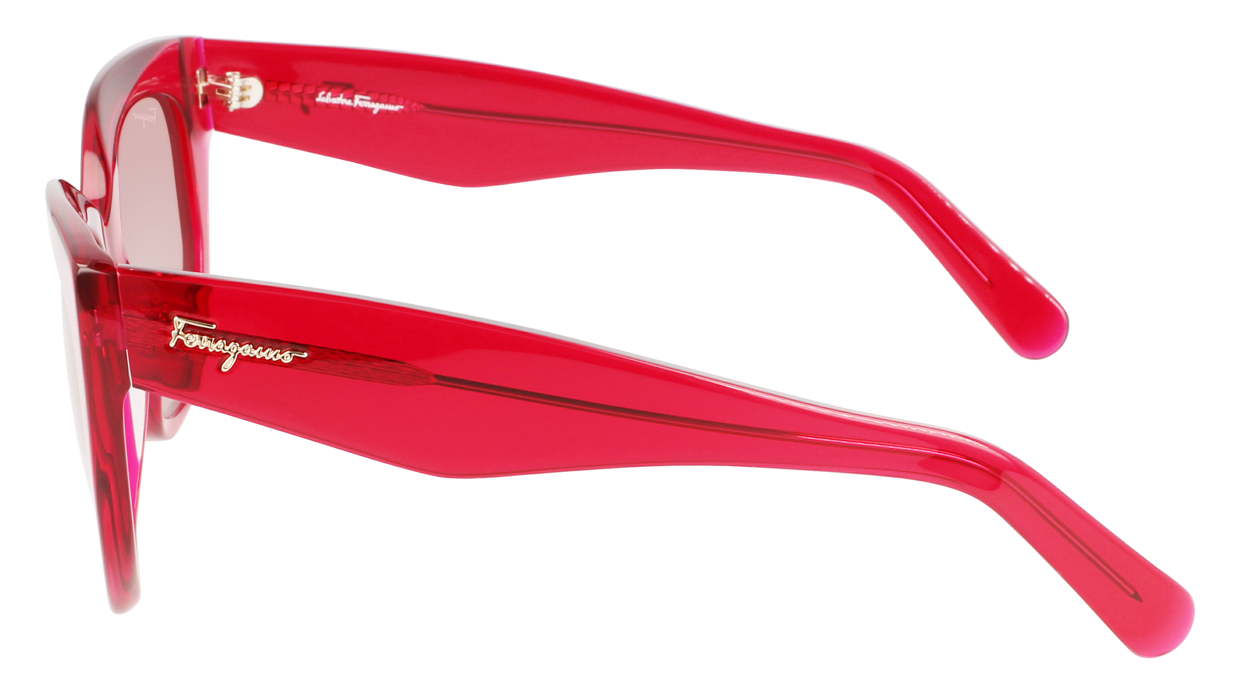 SF1061S 613 Occhiali da sole Ferragamo 5