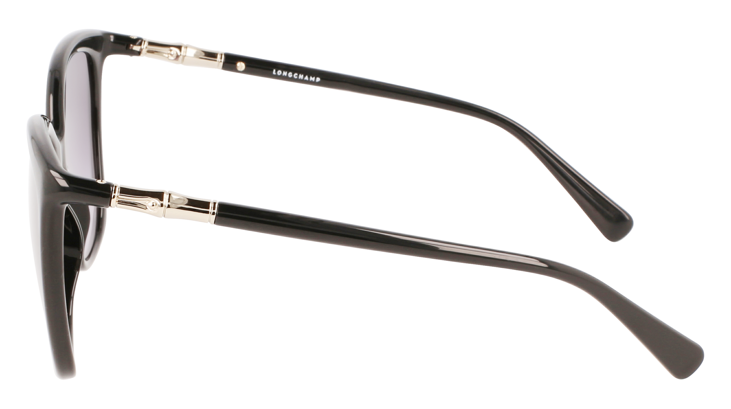 LO710S 1 Occhiali da sole LONGCHAMP 4