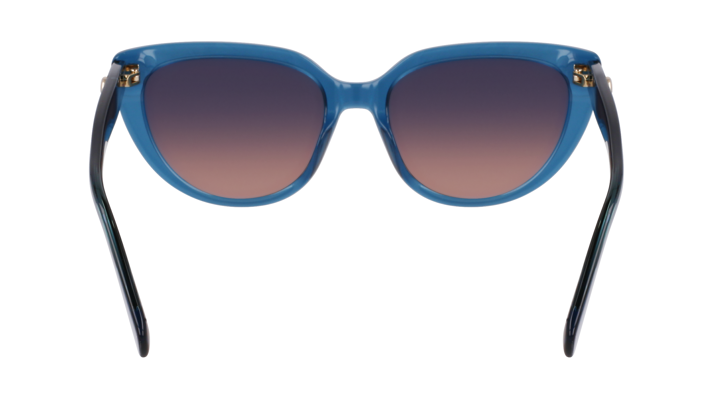 LO766S 400 Occhiali da sole LONGCHAMP 5